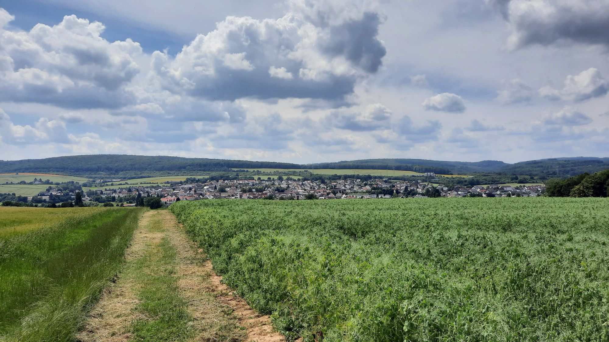 Wörsdorf