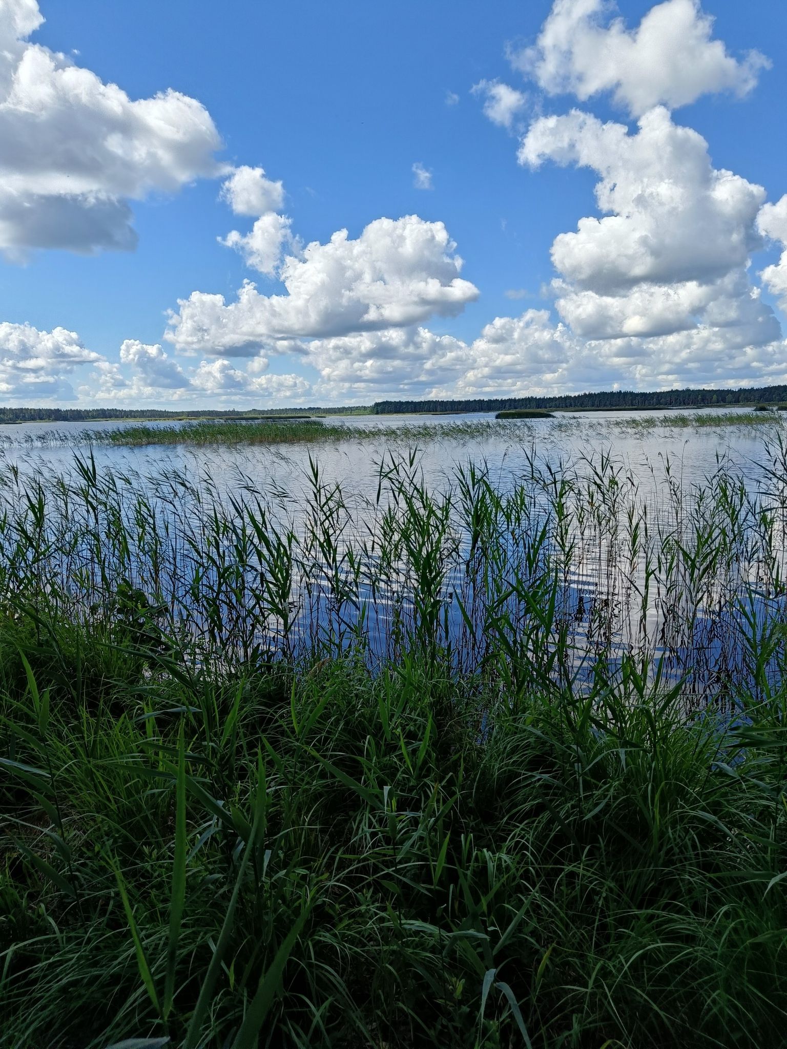 Blick auf den See