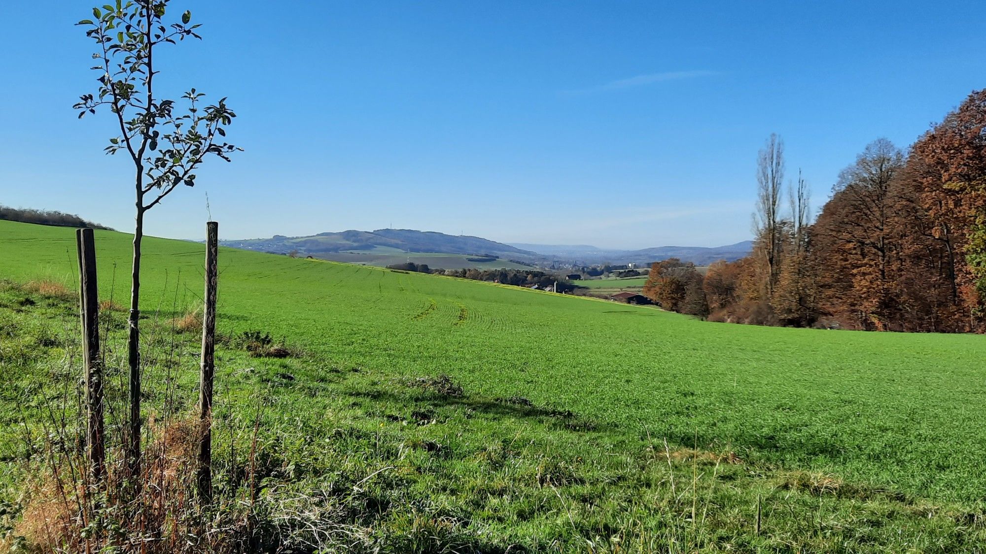 Hoxbergblick