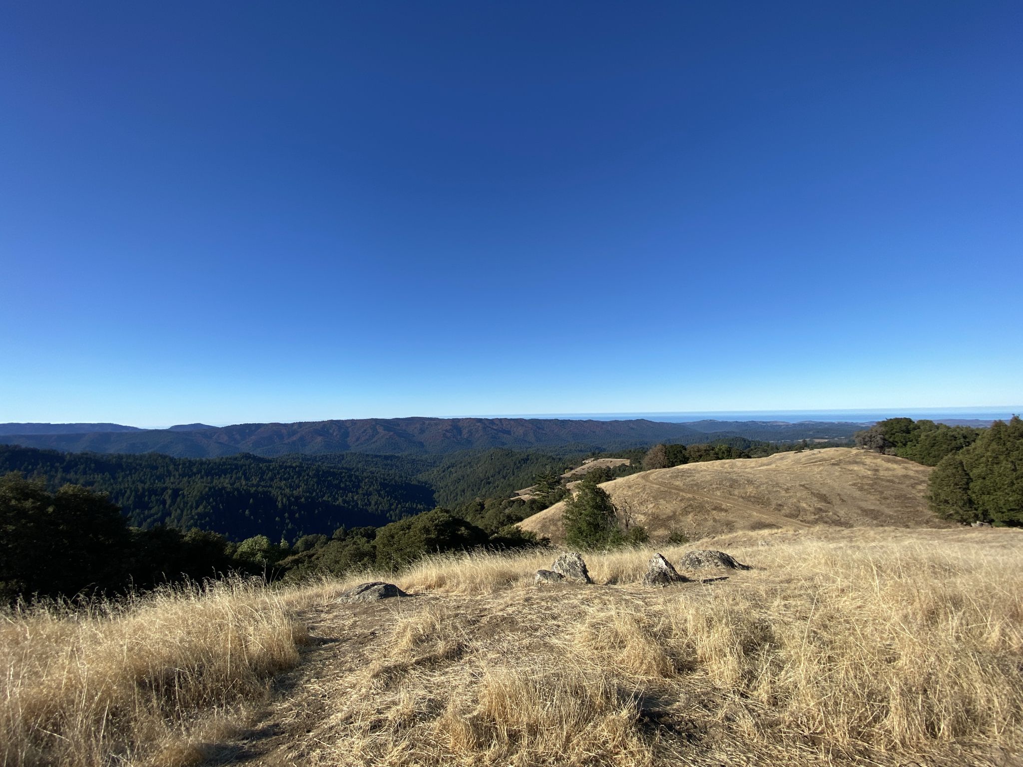 Expansive view of dry grassy hills and distant mountains under clear blue sky. - Table Mountain via Long Ridge