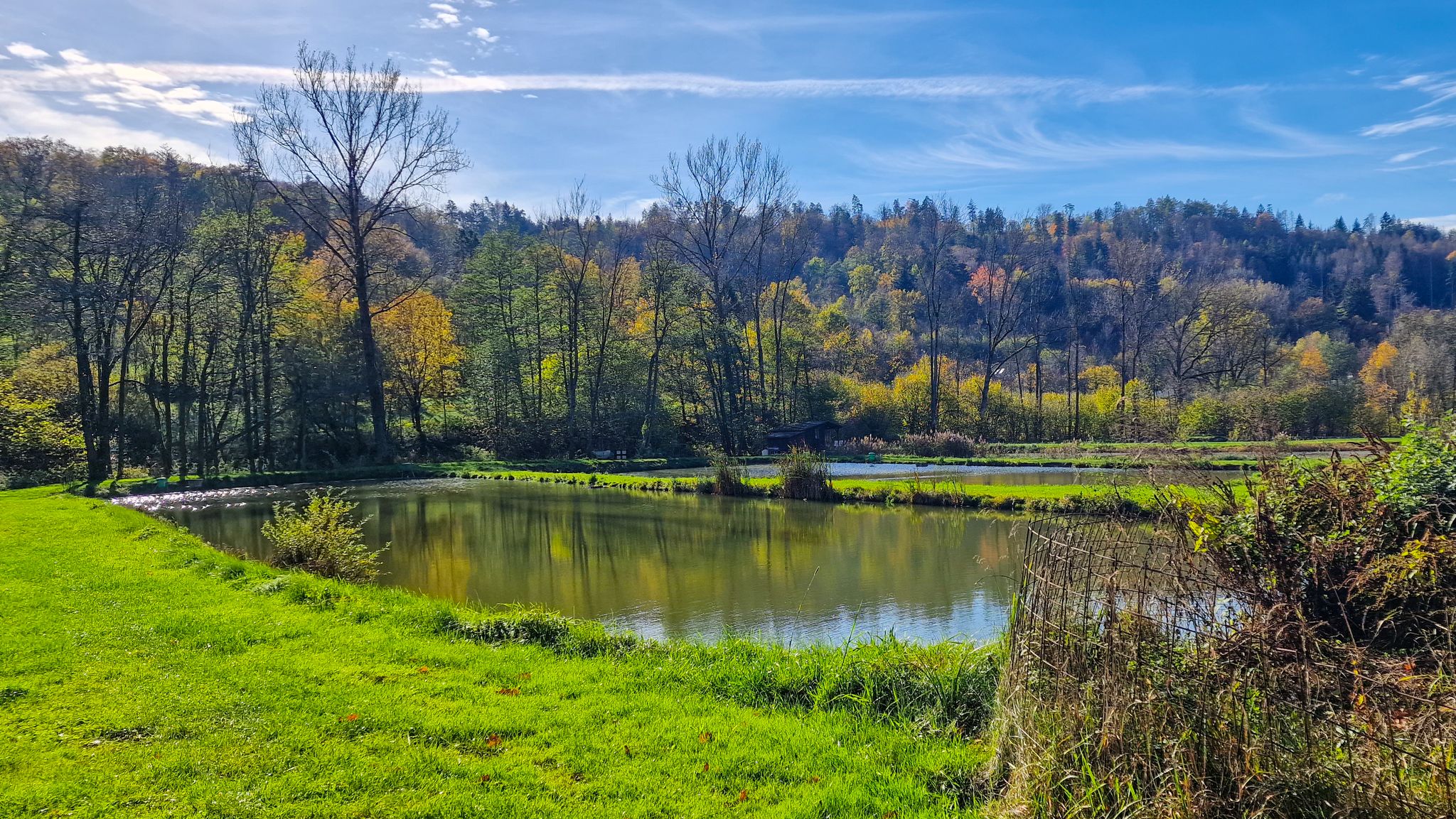 Weiher an der Lillach