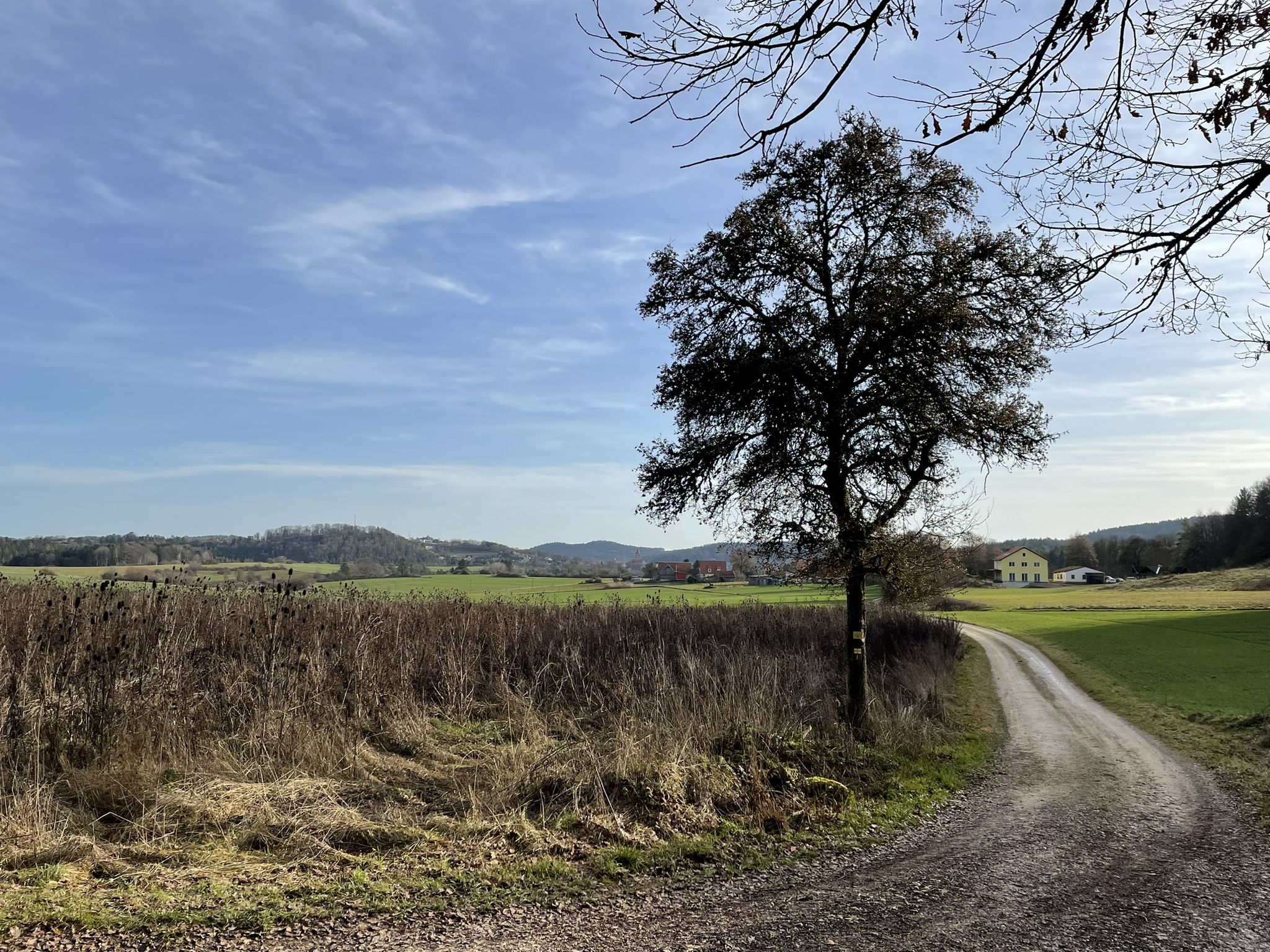 Blick zurück auf Mennersberg