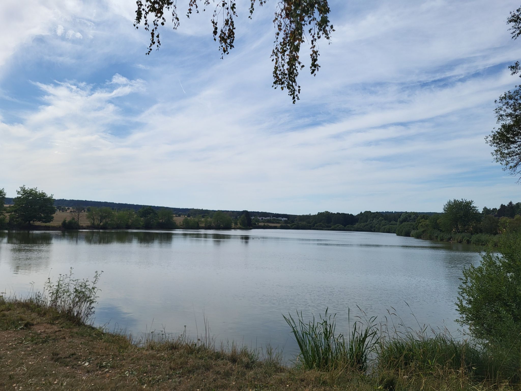 Novostrašecký rybník