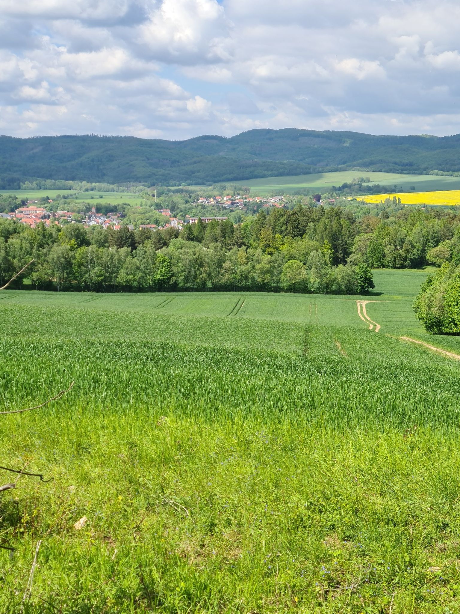 Blick auf Ellrich