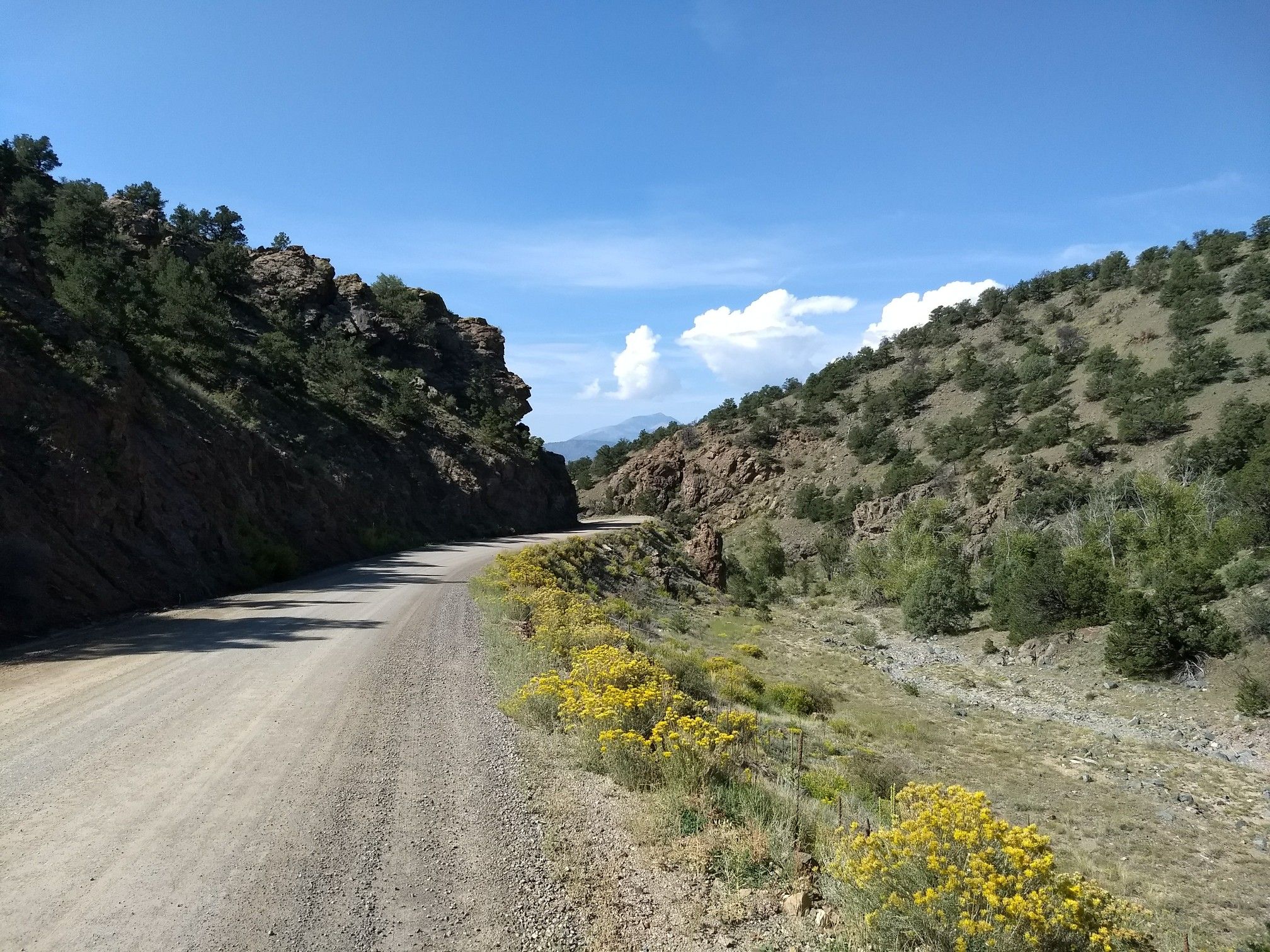 A dirt road winds through a canyon, flanked by rocky, tree-covered hills and yellow flowers. - Cottonwood Loop