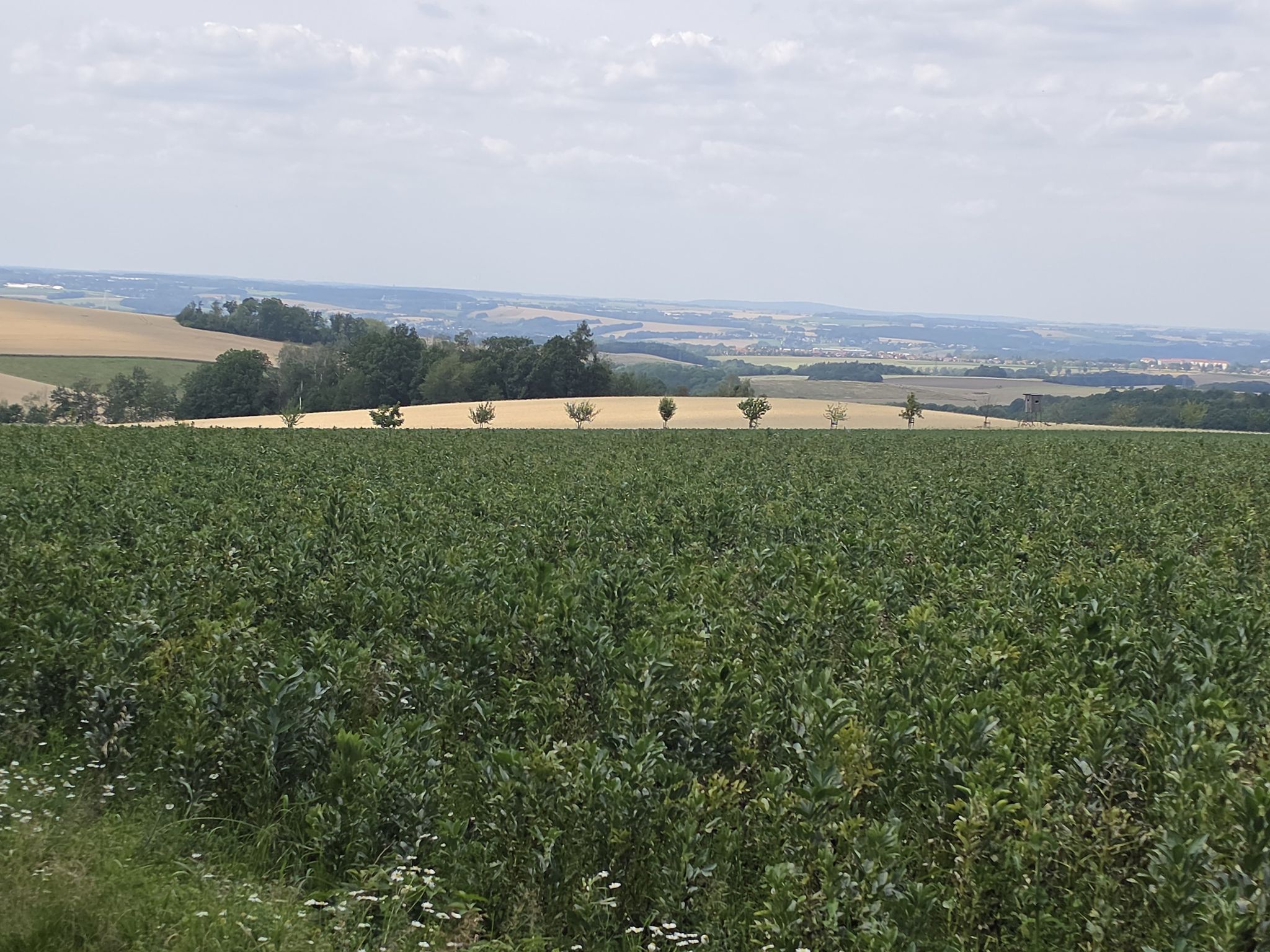 Weiter Ausblick