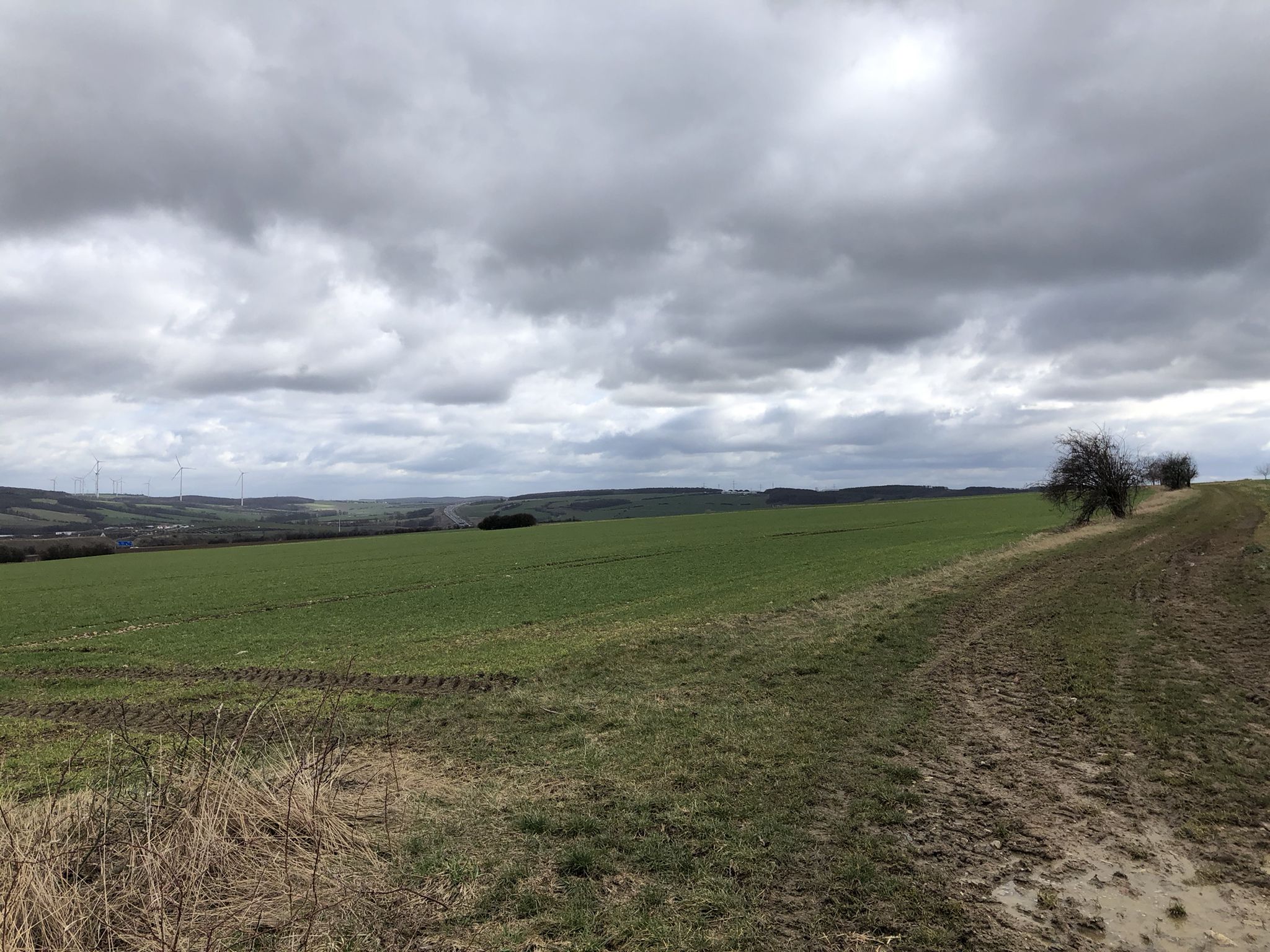 Blick zur A4 nahe Maina