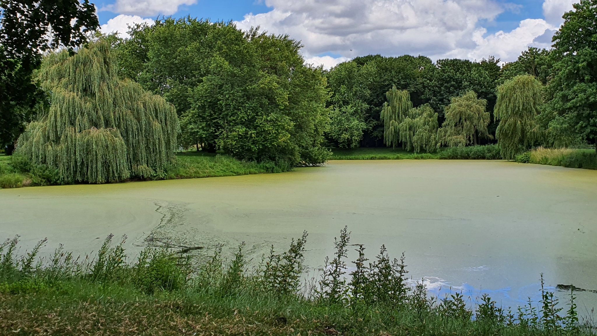 Schwanenteich Stendal