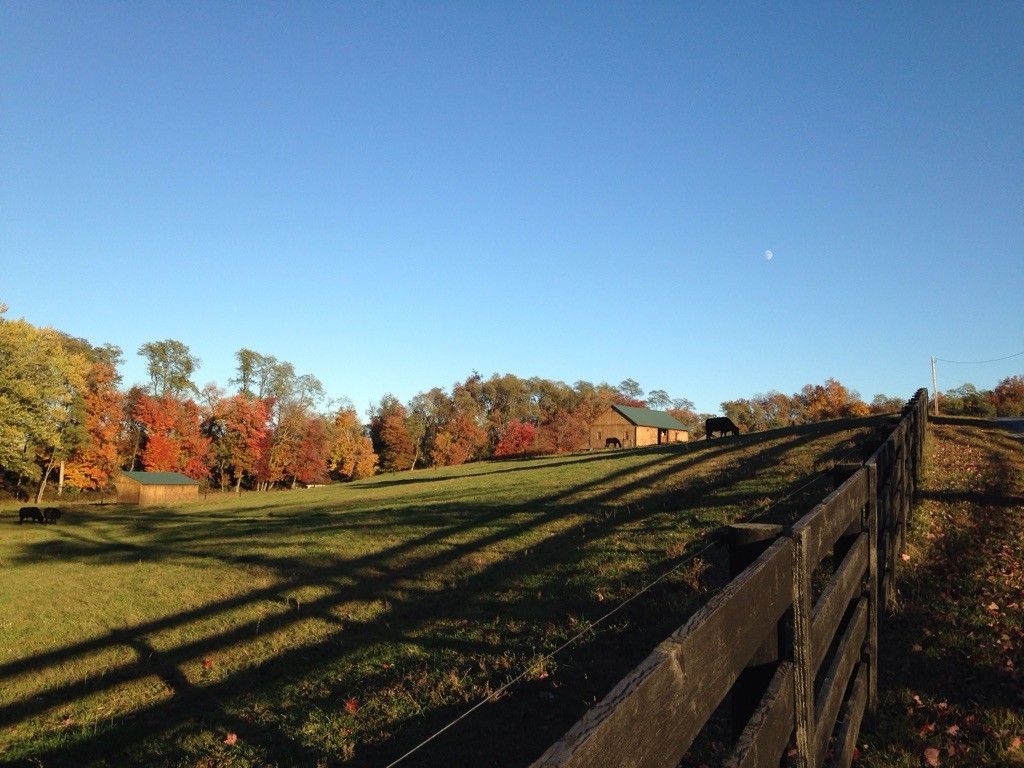 Fall colors