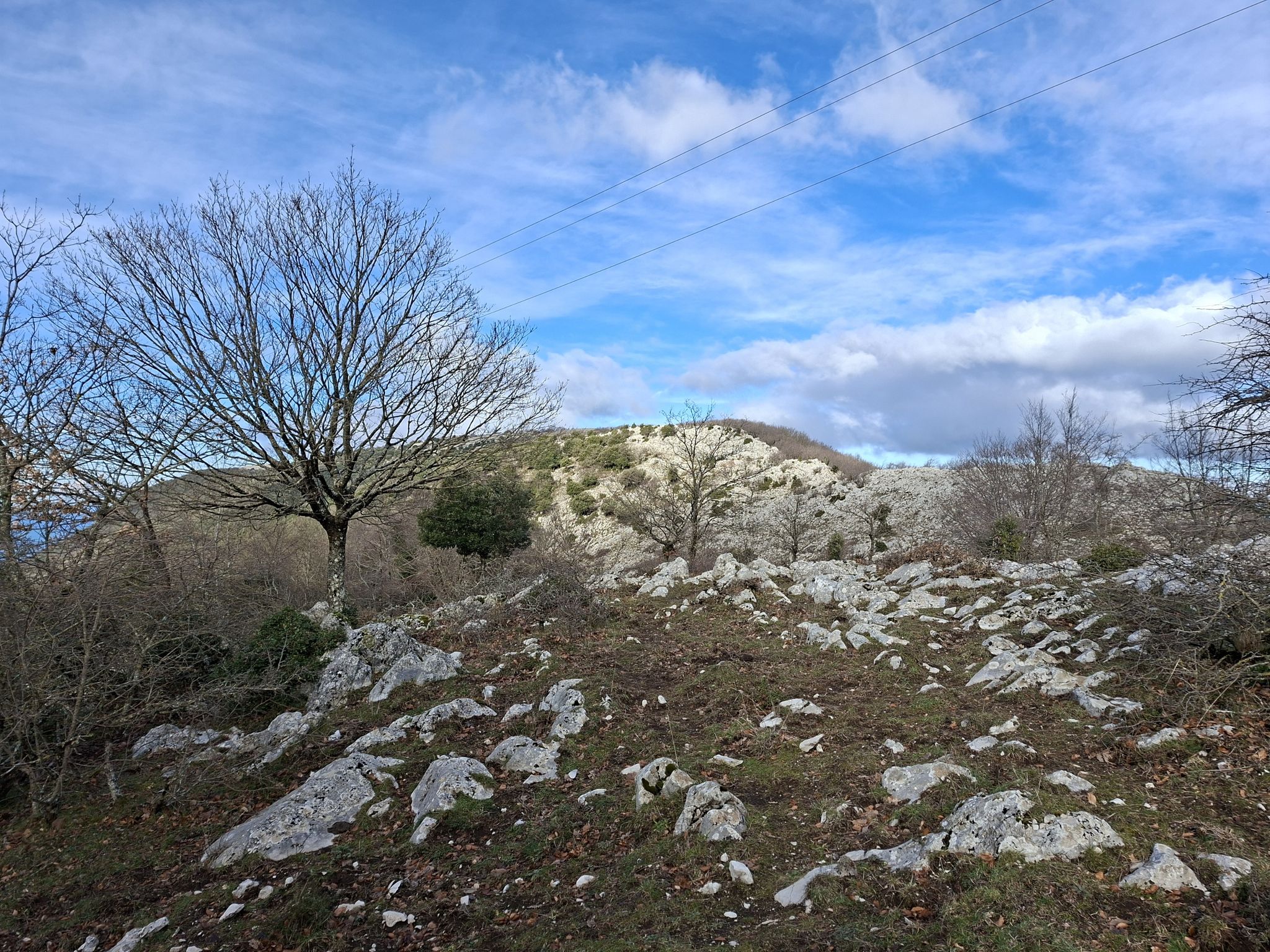 Towards Mount Tadduni