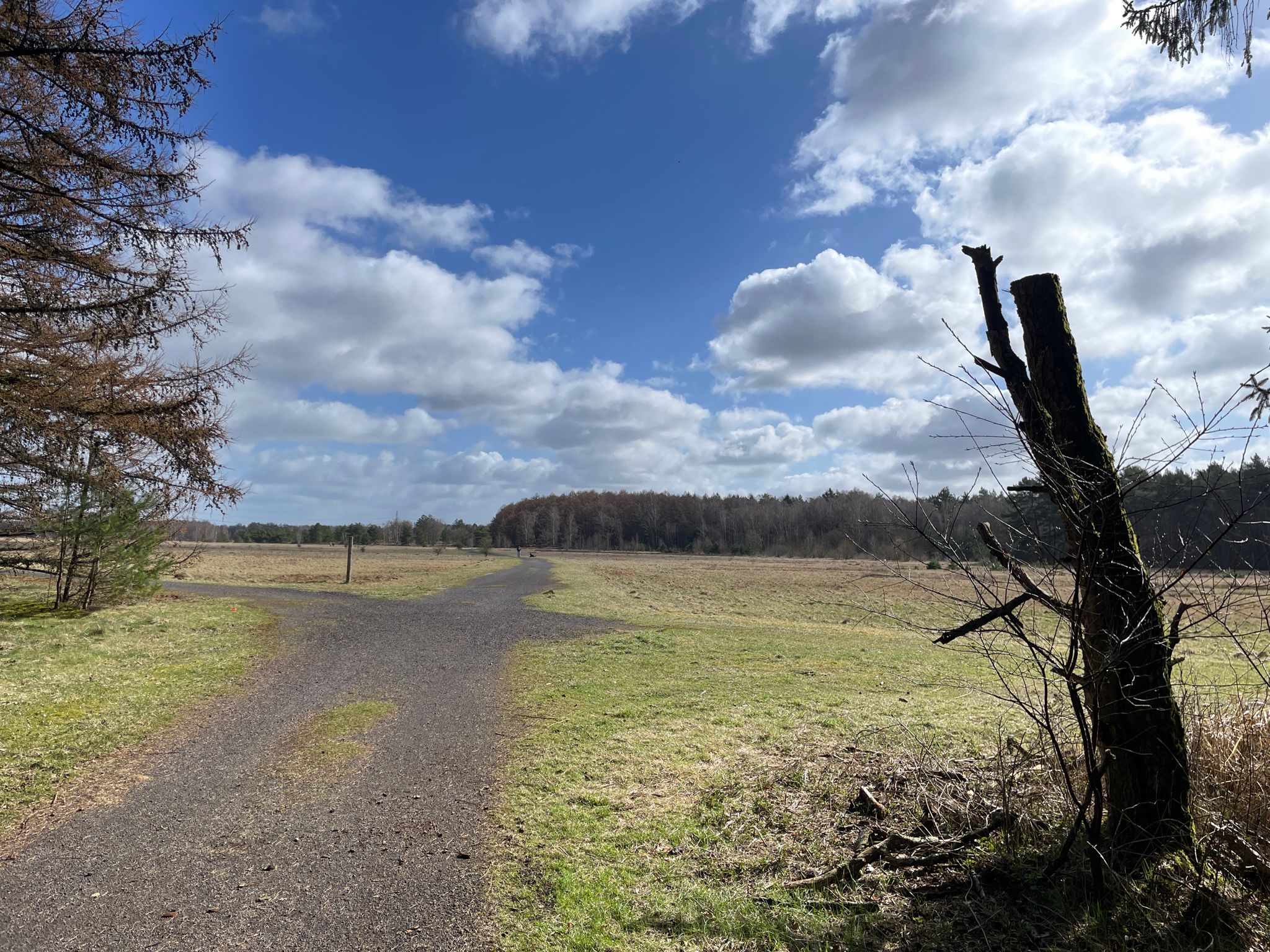 Kaltenkirchener Heide