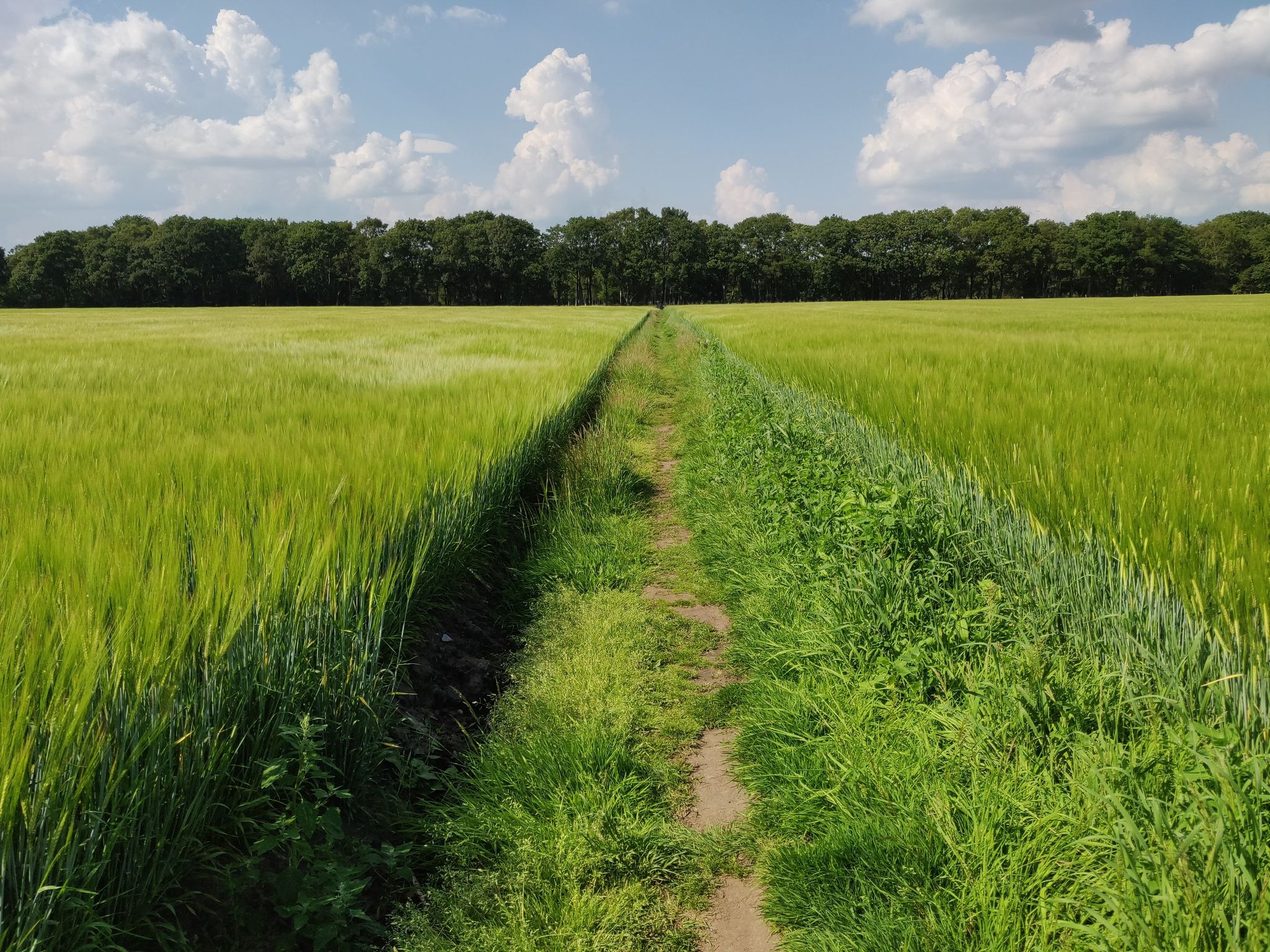 Pity a path runs through it. 