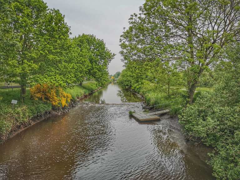 Barßeler Hafen Aper Tief Jümmesee/Ammerland bike Tour Komoot