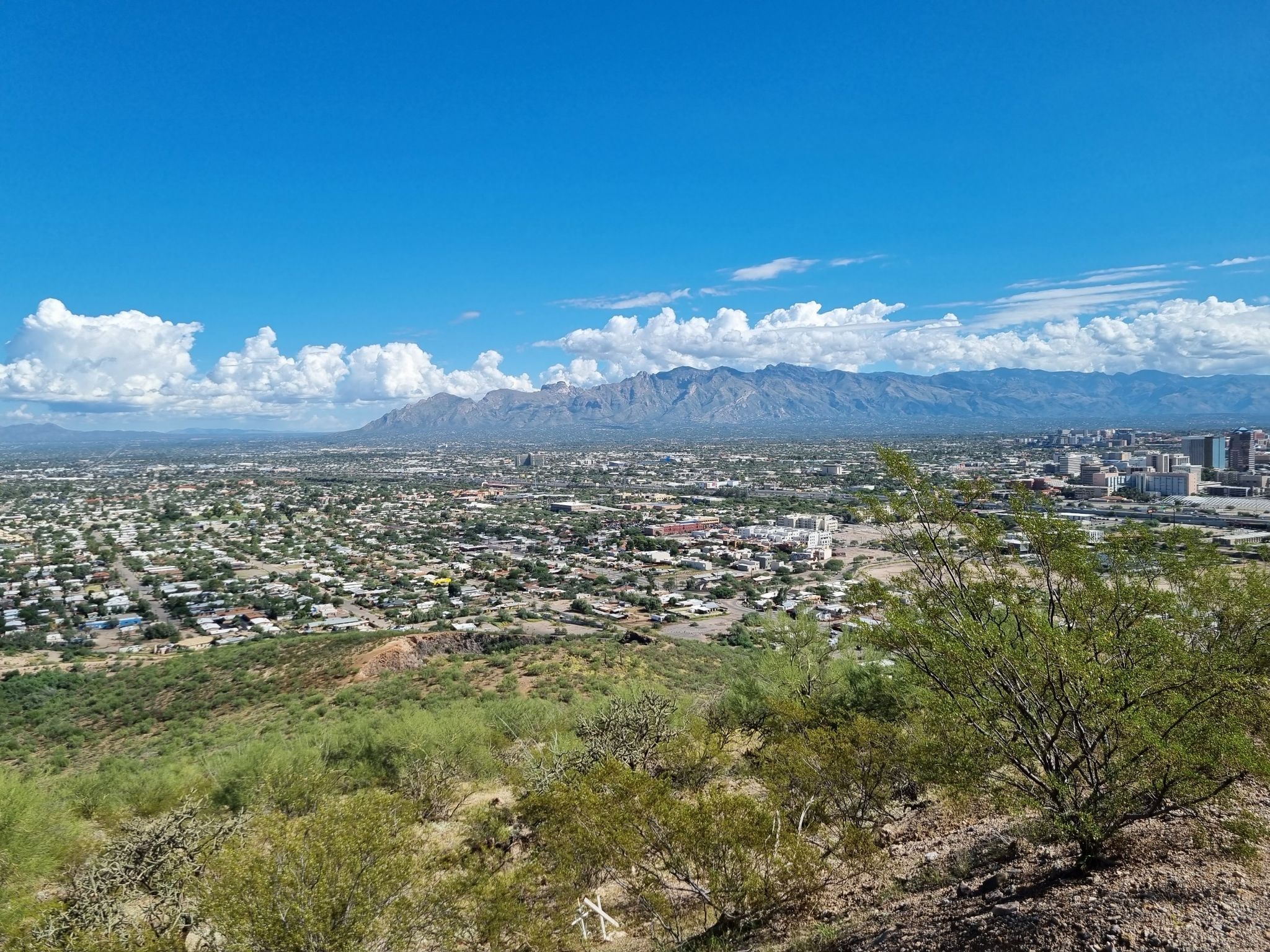 Panoramic view of a city and distant mountains under a bright blue sky. - Juan Bautista de Anza Trail – Garden of Gethsemane Park loop from Dakota Wash
