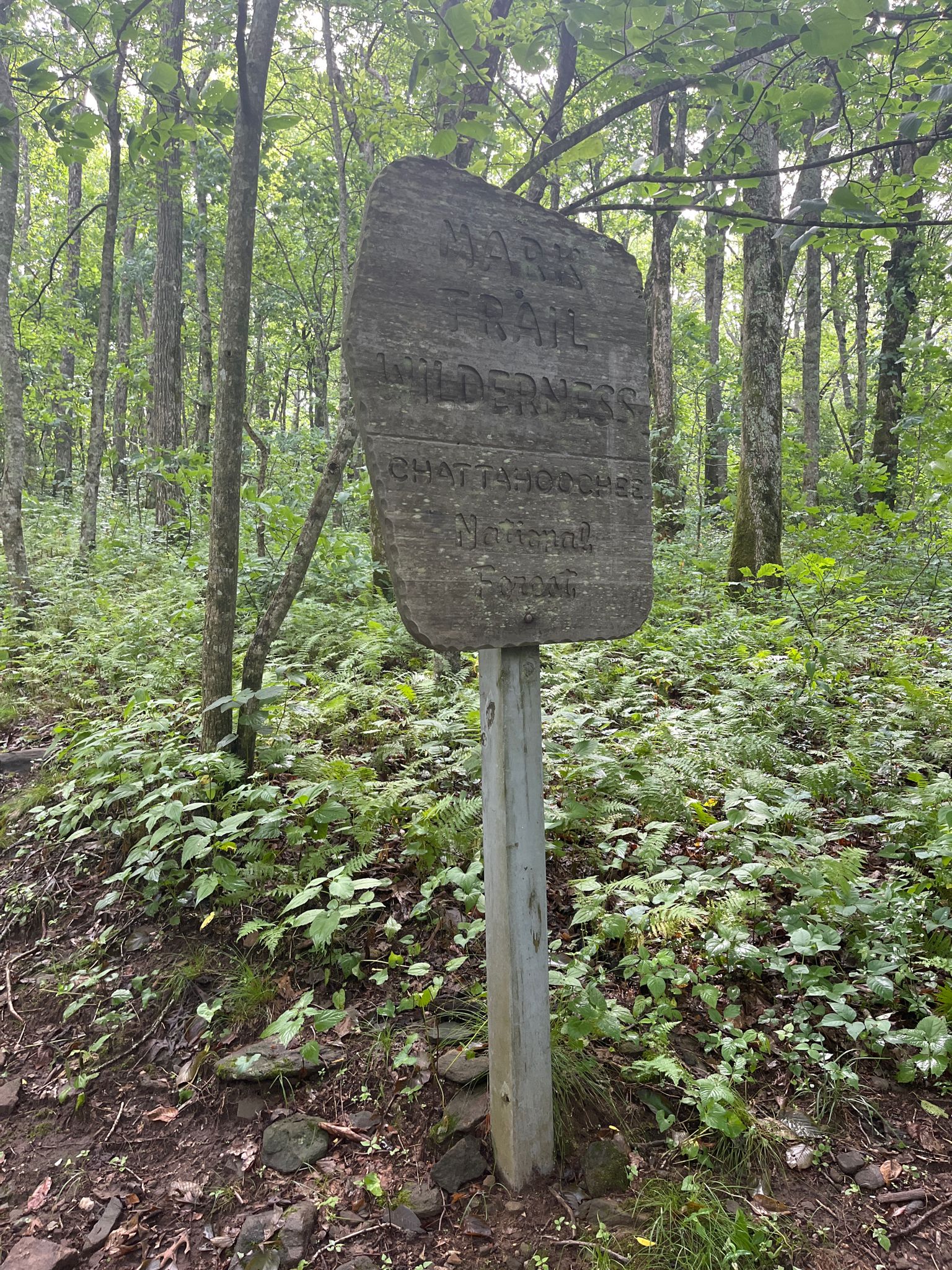 Carved wooden signpost in a lush green forest on an overcast day. - Appalachian Trail: Hogpen Gap to Low Gap