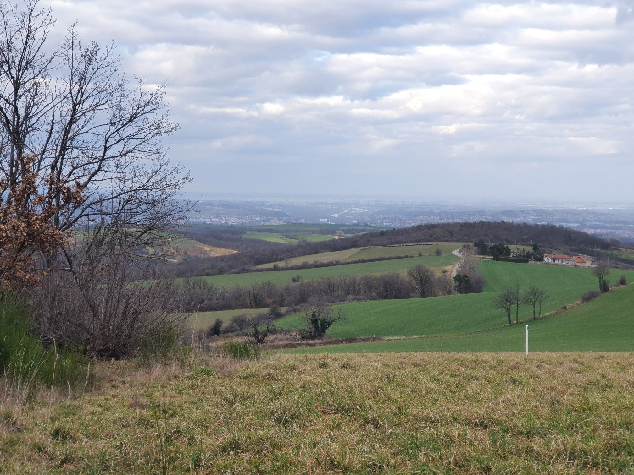 Blick nach Lyon