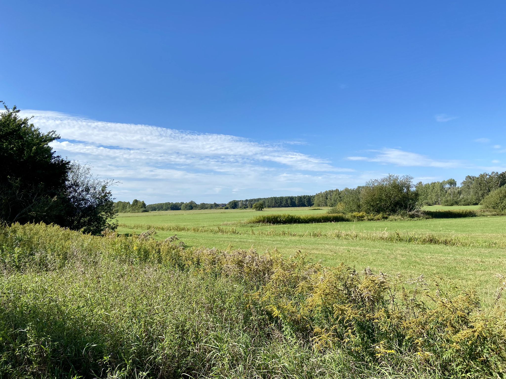 kurz vor Schönwalde - Dorf