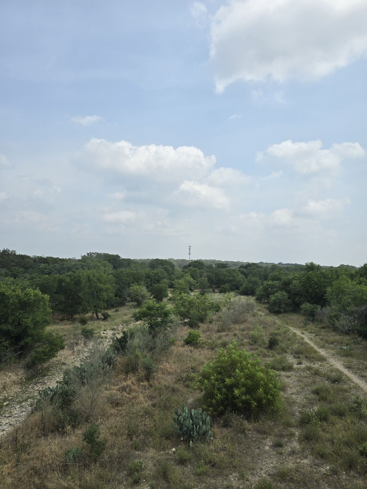 An elevated view of a dry, brushy landscape with scattered trees under a cloudy sky. - Bamberger Nature Park – Drinking Fountain at Fox Park loop from The University of Texas at San Antonio