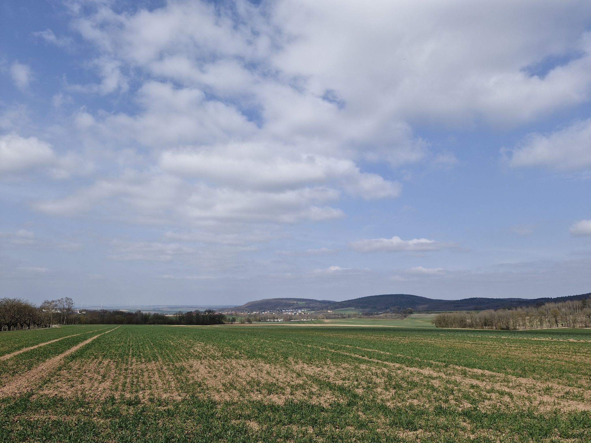 Blick auf Sulzfeld