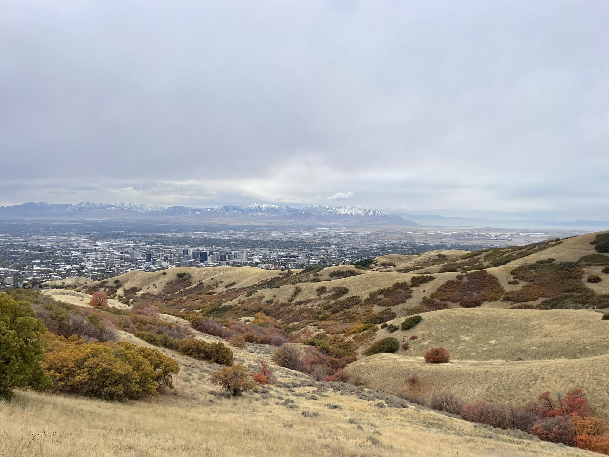Overcast view of autumn hills overlooking a city and distant snow-capped mountains. - Terror Ridge and Bobsled Loop