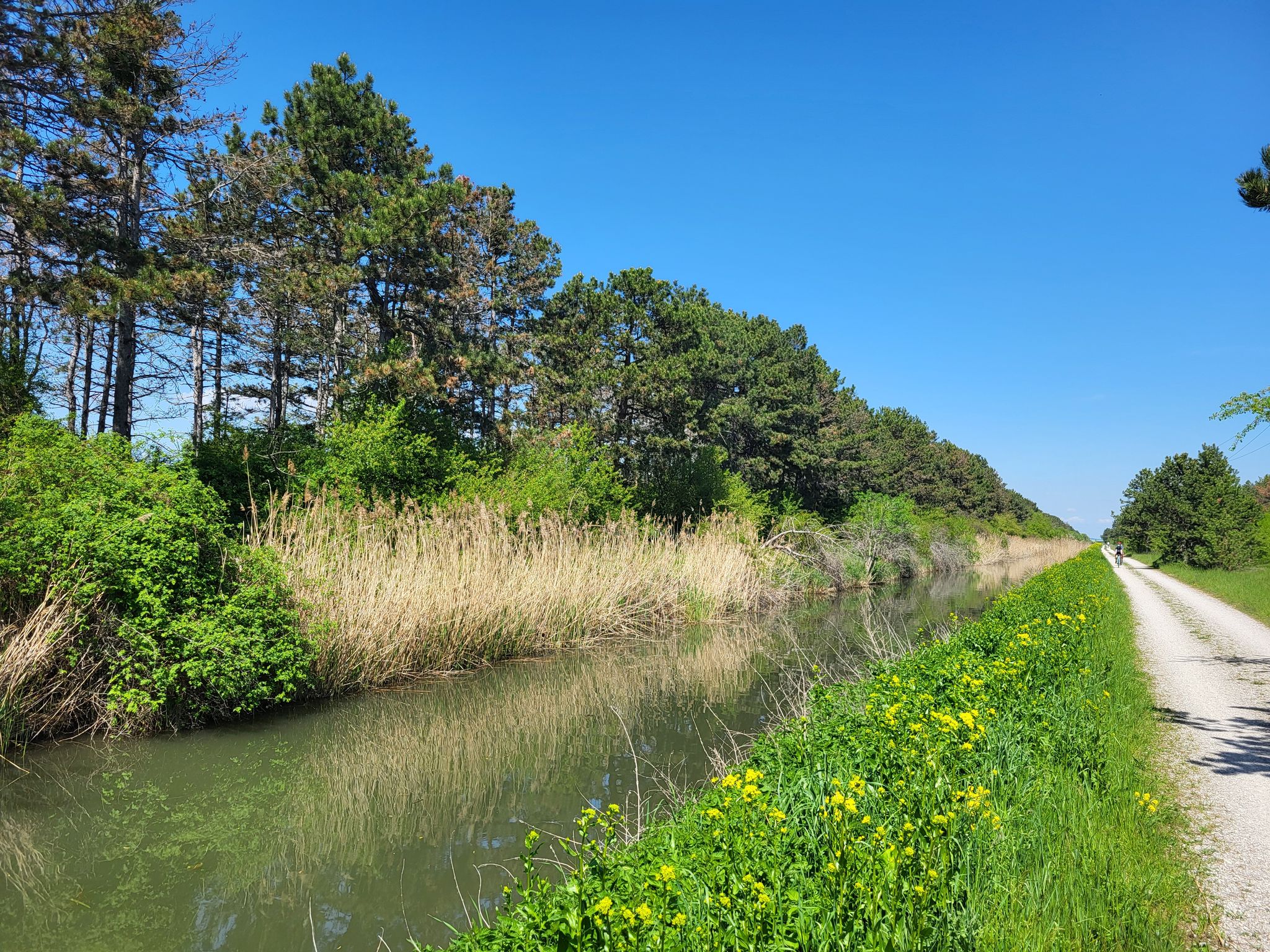 Wr. Neustädter Kanal