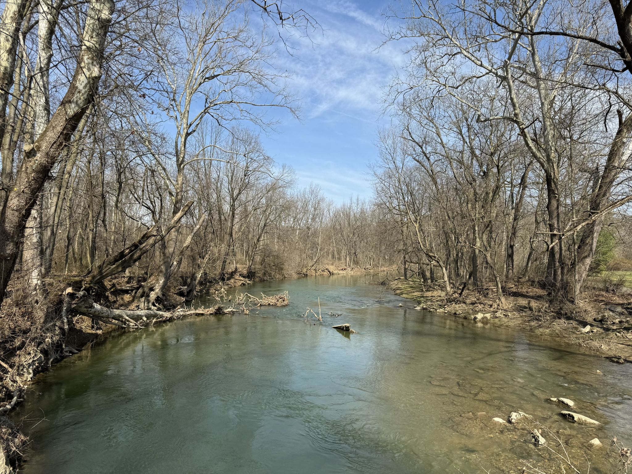 A clear river flows through a forest of bare trees under a blue sky. - Jordan Creek Greenway