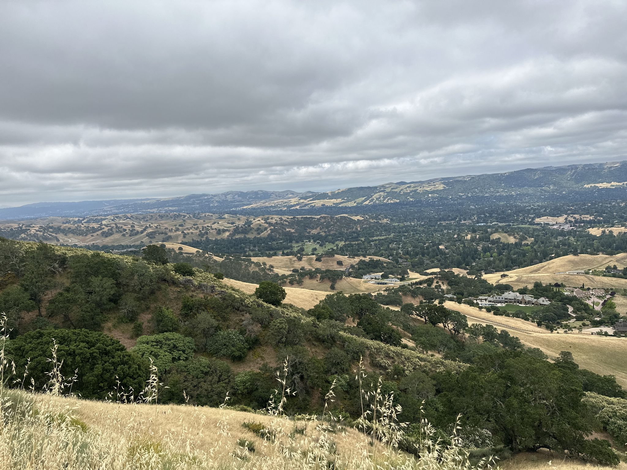 Rolling hills and valleys with scattered trees under a cloudy sky. - Wall Point and Barbecue Terrace Road Loop