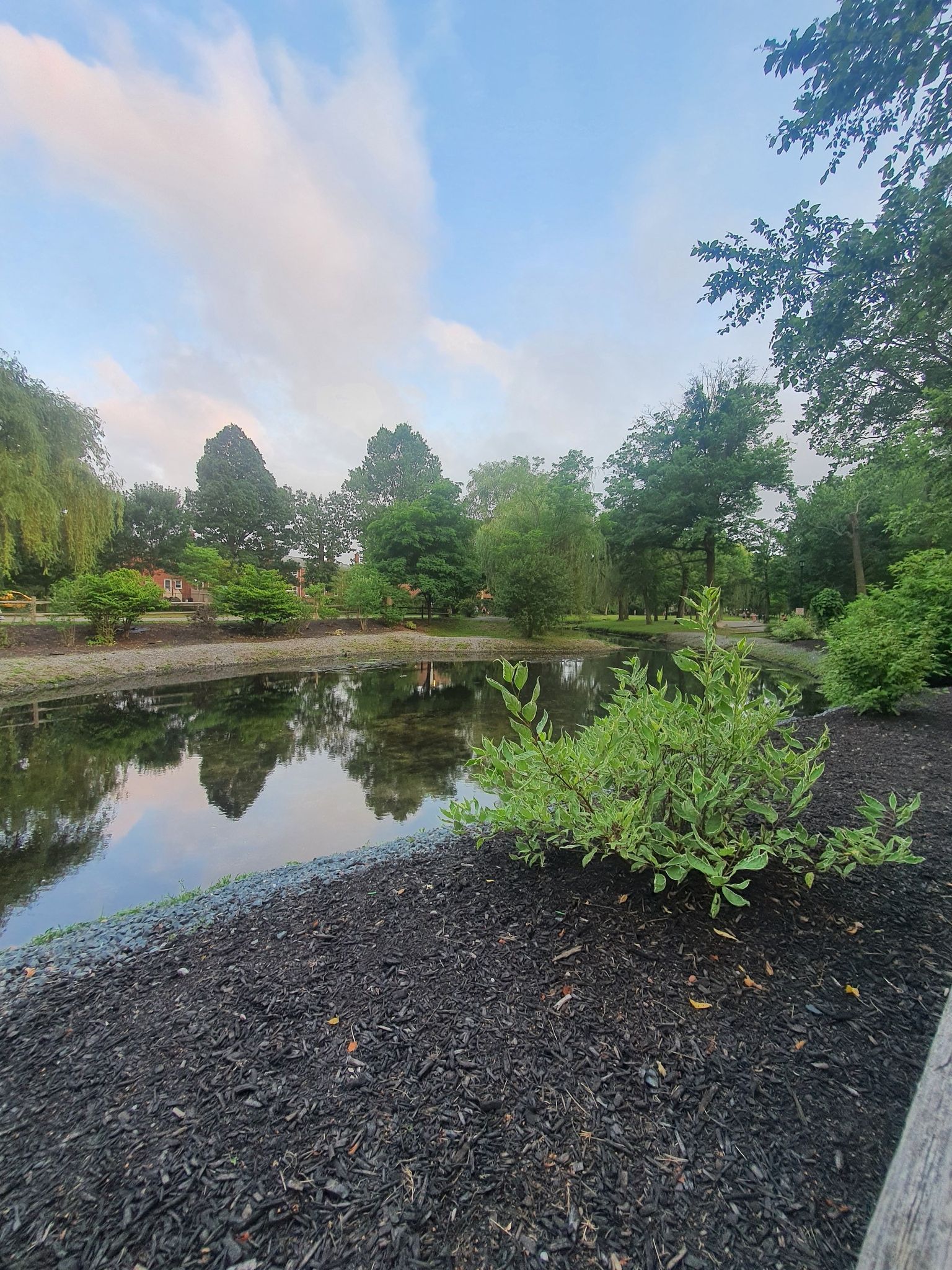 Serene pond surrounded by green trees and dark mulch under a cloudy sky. - Hendrickson Park – Valley Stream State Park loop from Valley Stream