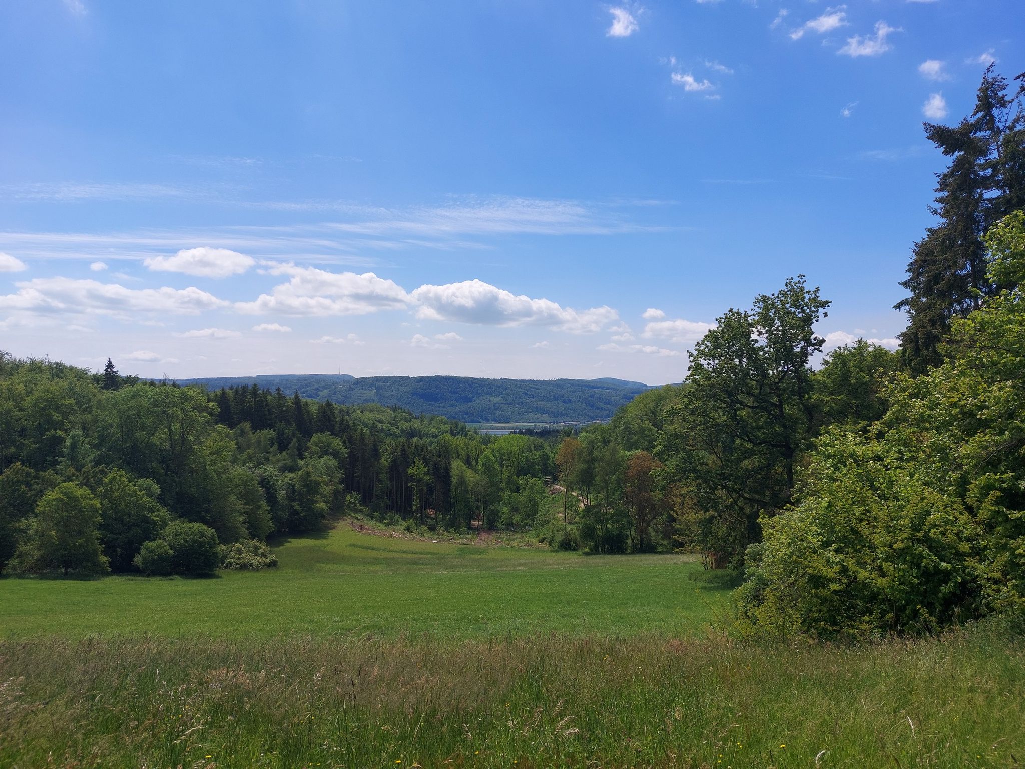 über dem Rhein