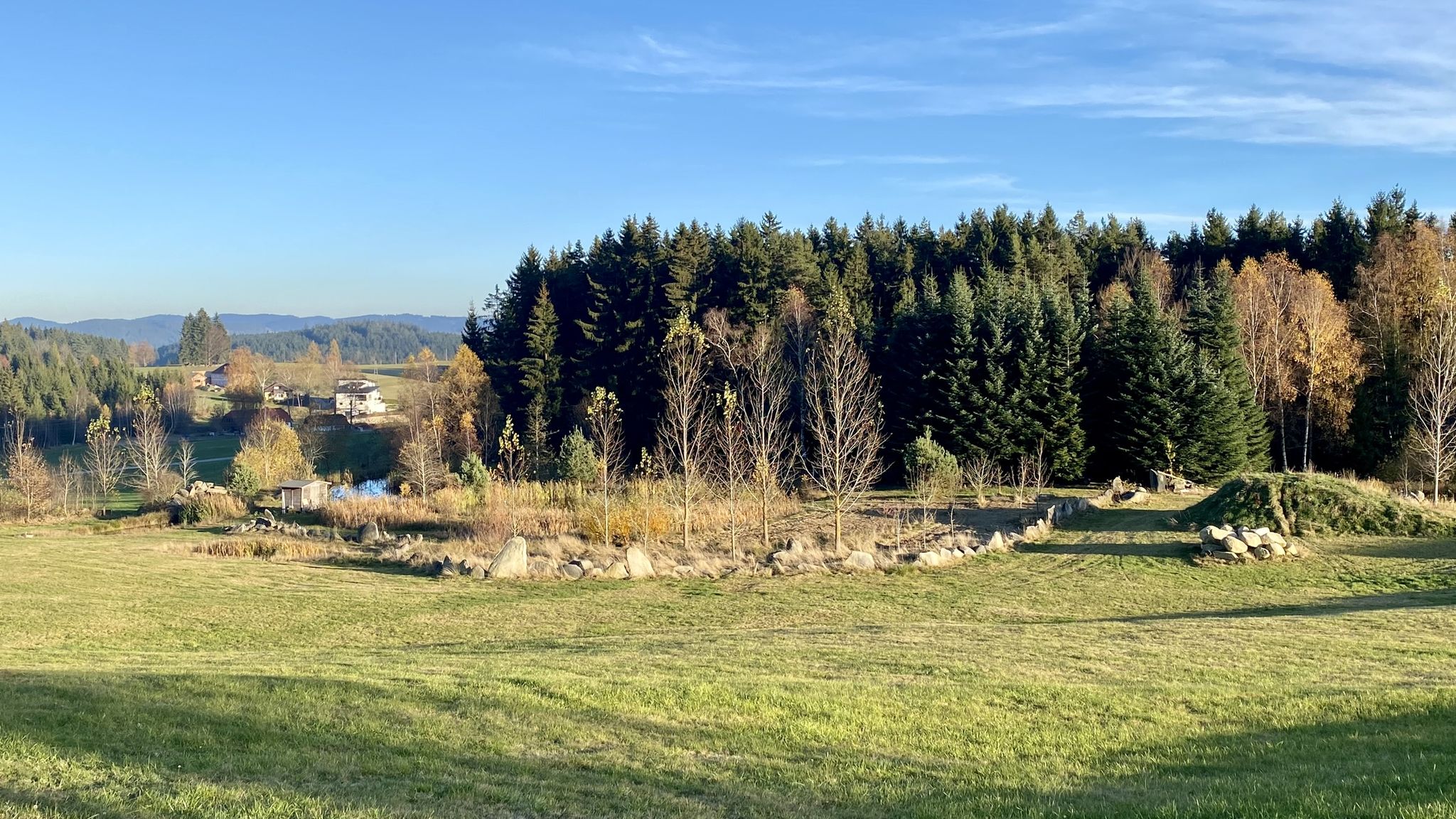 Teiche bei Steinwald