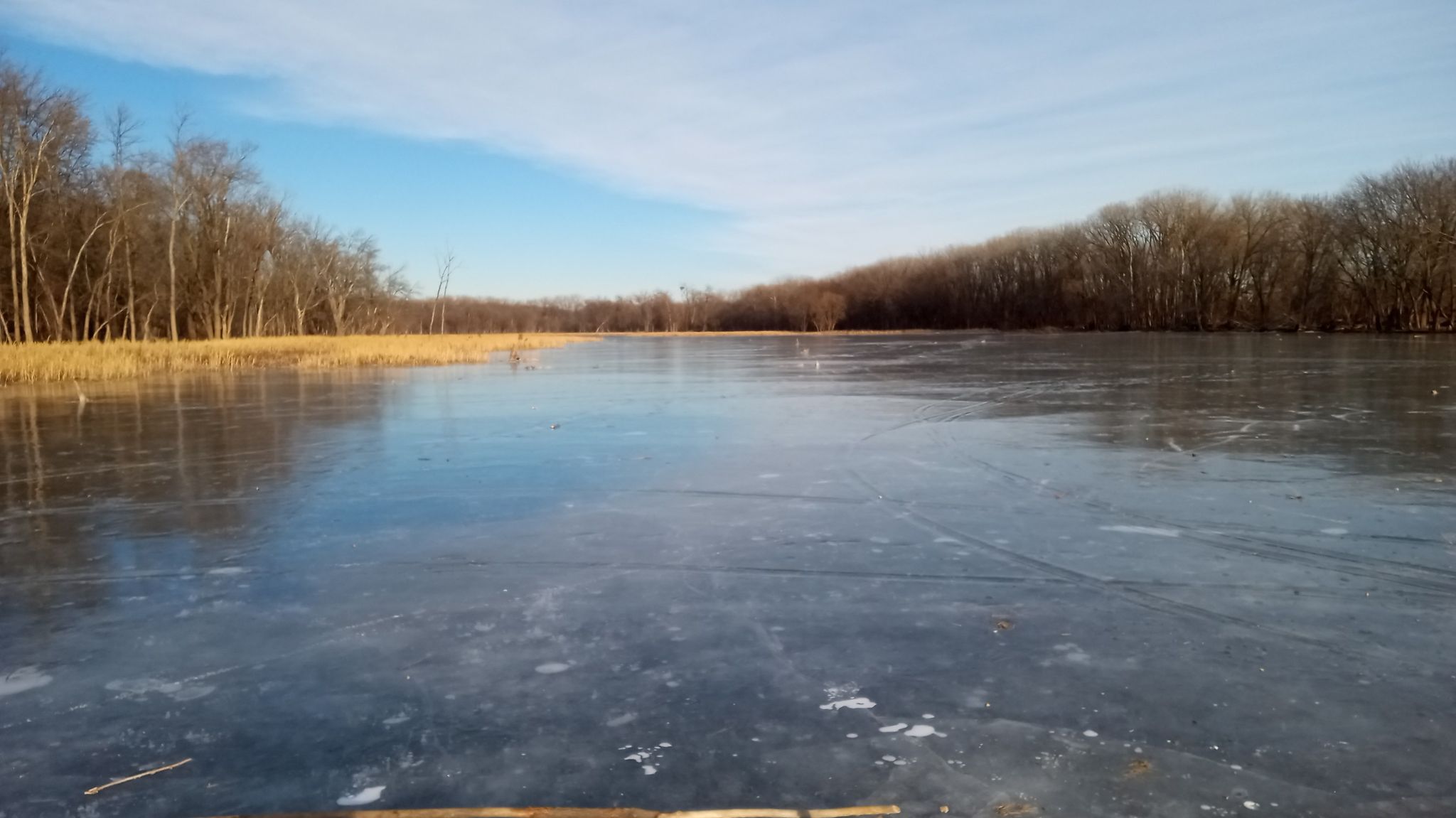 Wide frozen lake surrounded by bare trees and dry reeds, blue sky. - Nine Mile Creek Trail loop