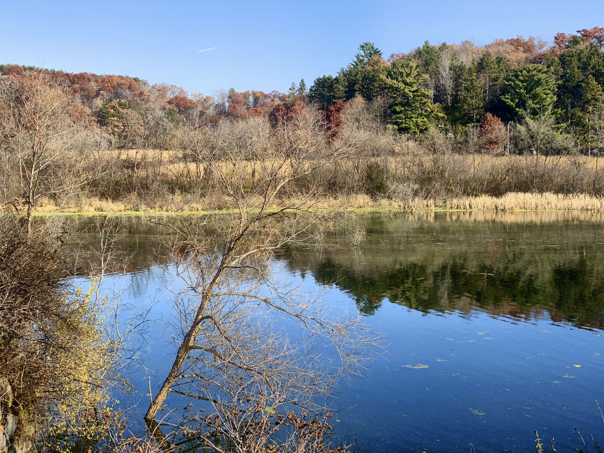 Calm lake reflects autumn trees under a bright blue sky. - Union Center Trailside Shelter – Picnic Area loop from Elroy