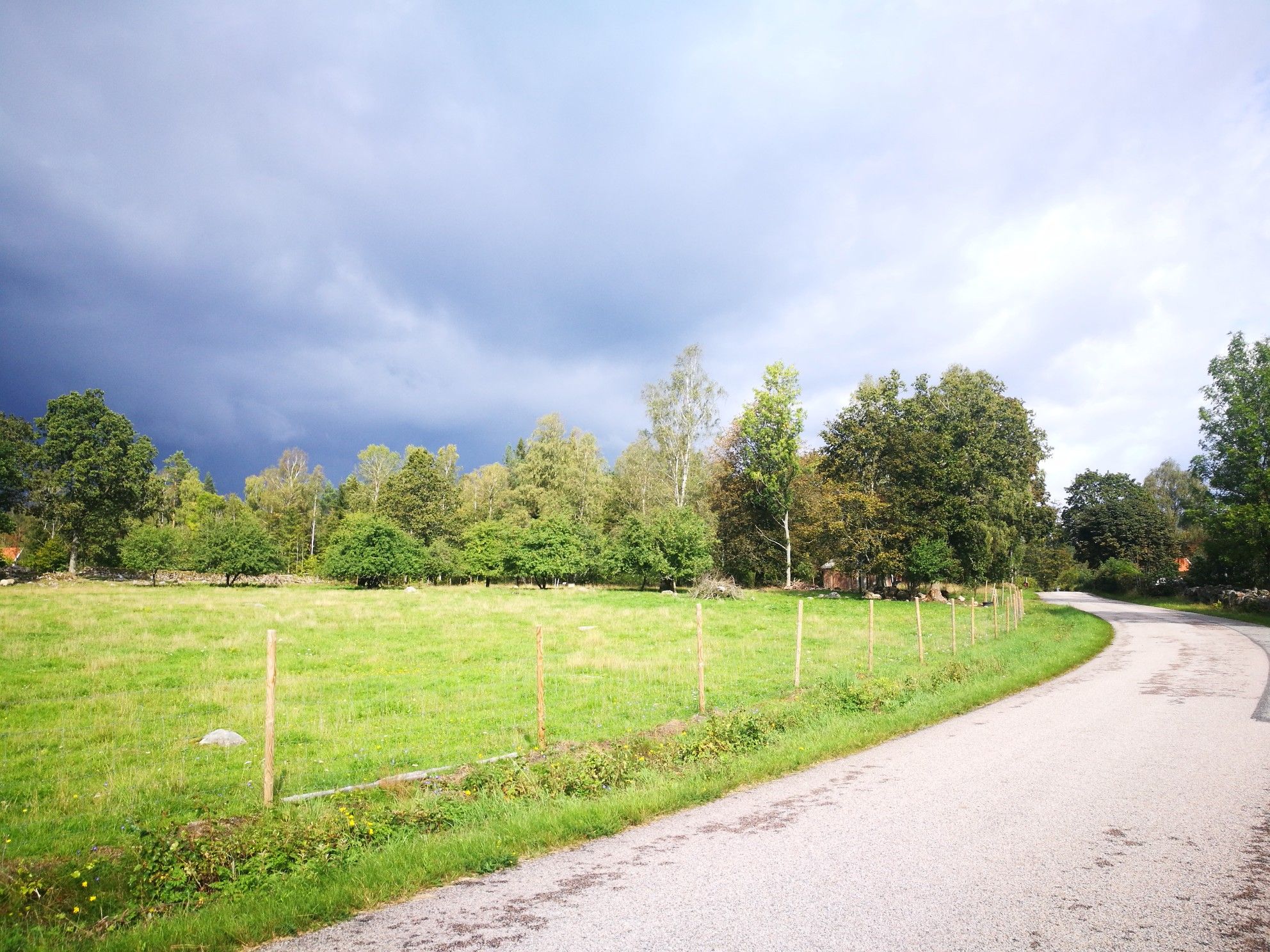 Blick zurück