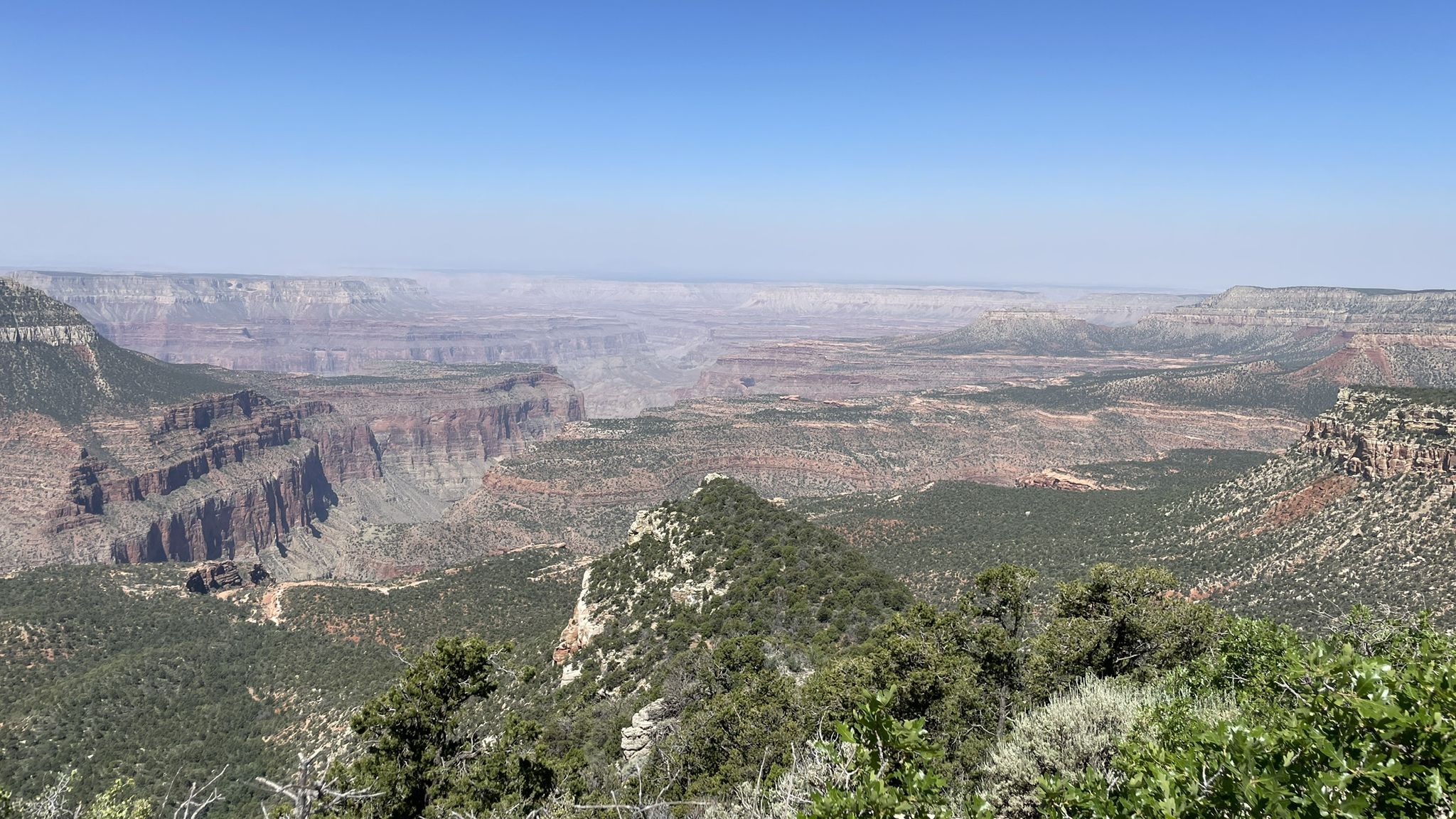 Vast canyon landscape under clear blue sky, with green foreground. - Rainbow Rim Trail Loop