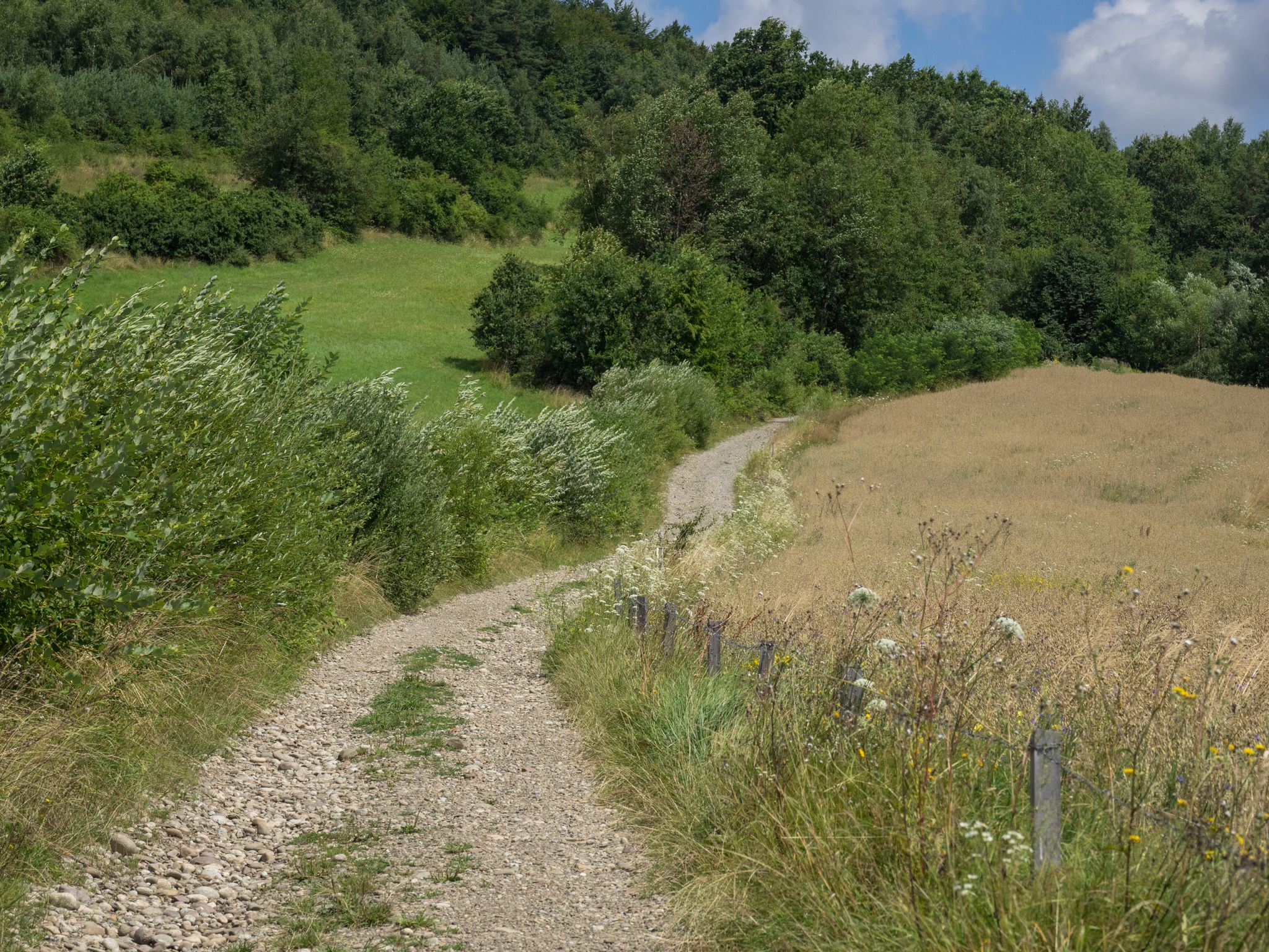 Najpierw asfalt, potem taka droga i na końcu znowu asfalt. Po około 1km wjeżdżam na pasmo.