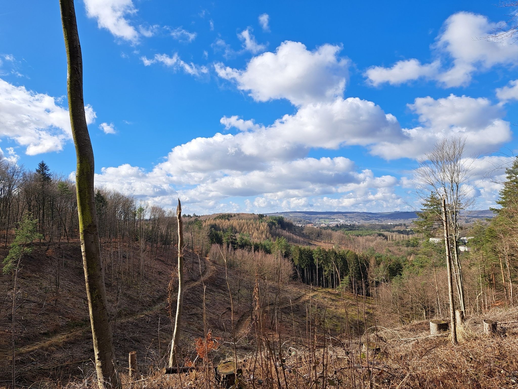 Schöne Aussicht