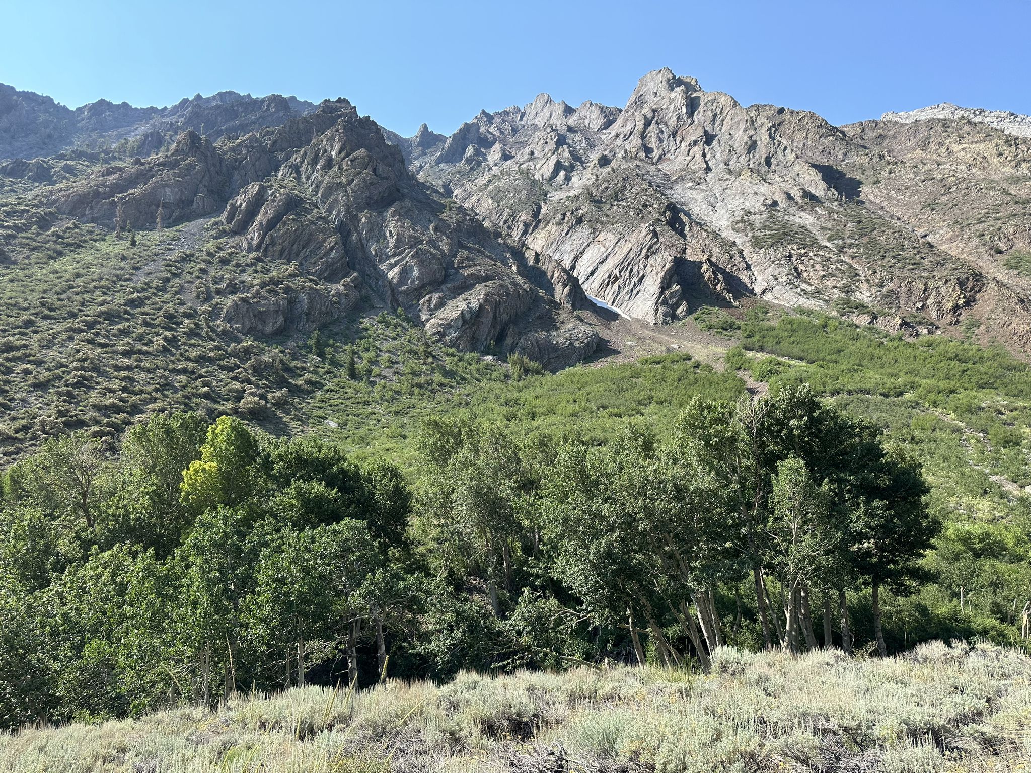Steep, rocky mountain slopes covered in green foliage under a clear blue sky. - Big McGee Lake