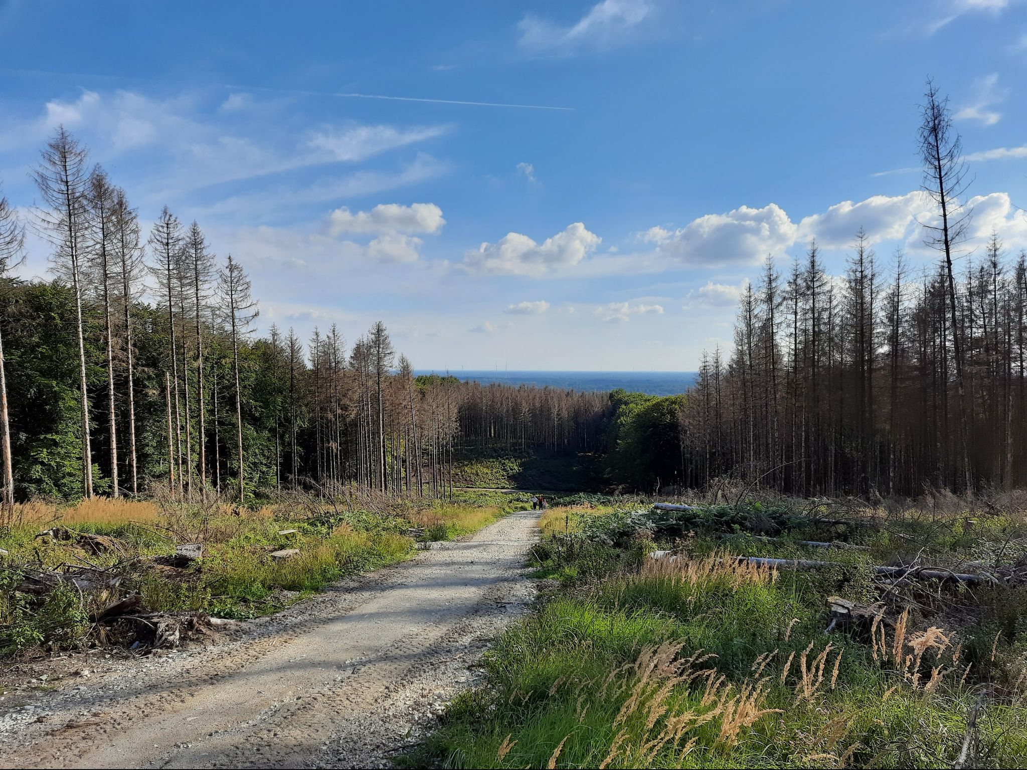 Ausblick Kalkgrube