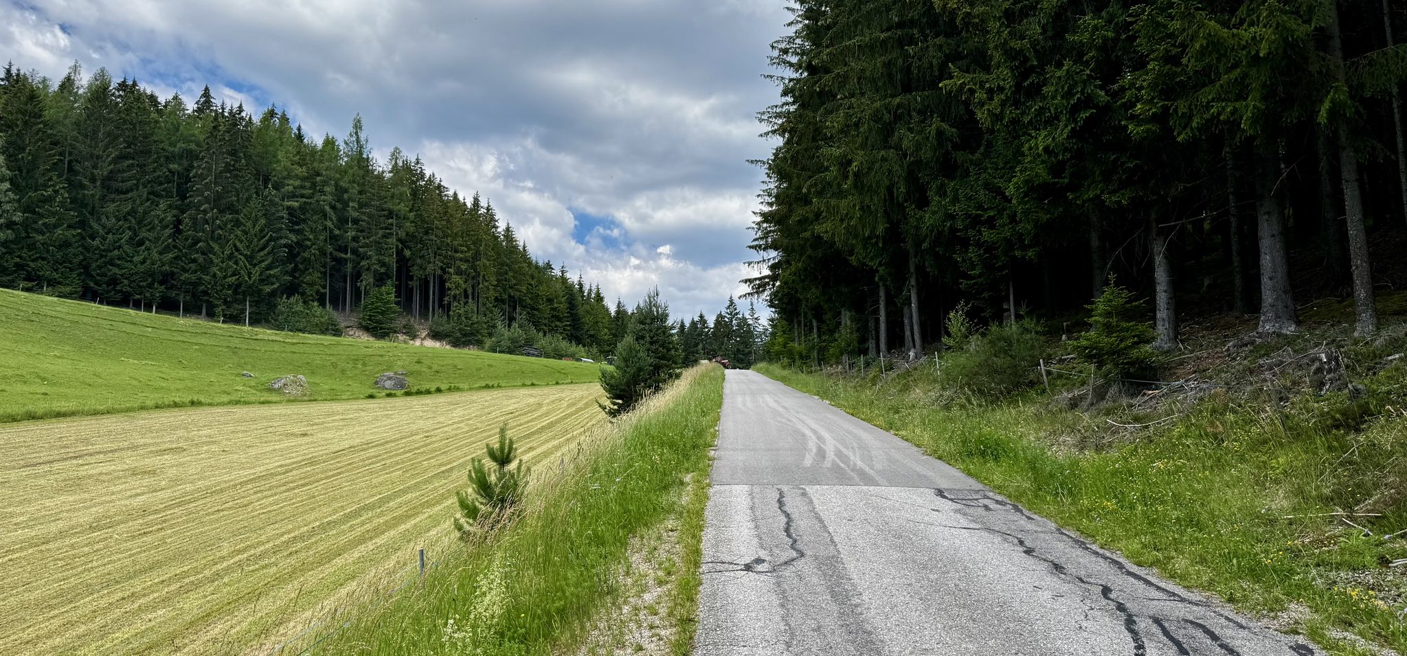 Mit einer Straße hätte ich hier nicht gerechnet