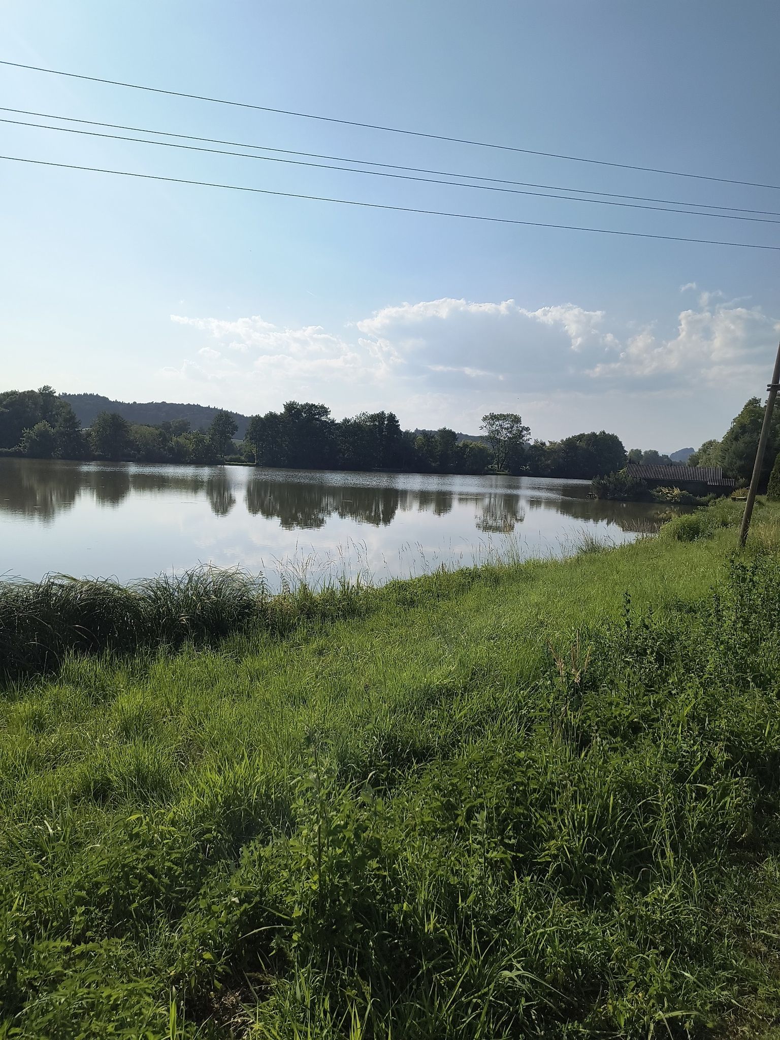 Hofmühlteich