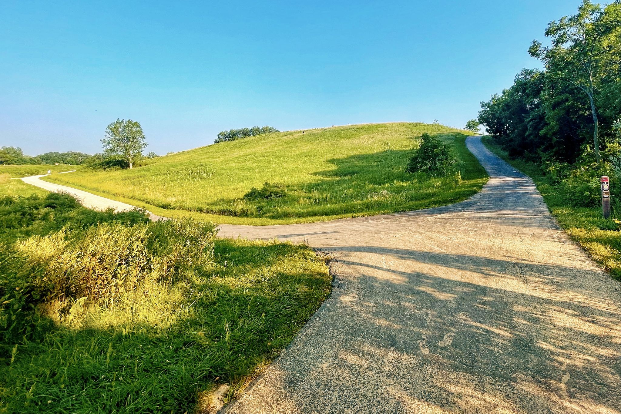 Fork in a paved path leading through sunny green rolling hills. - Maple Lake Trail