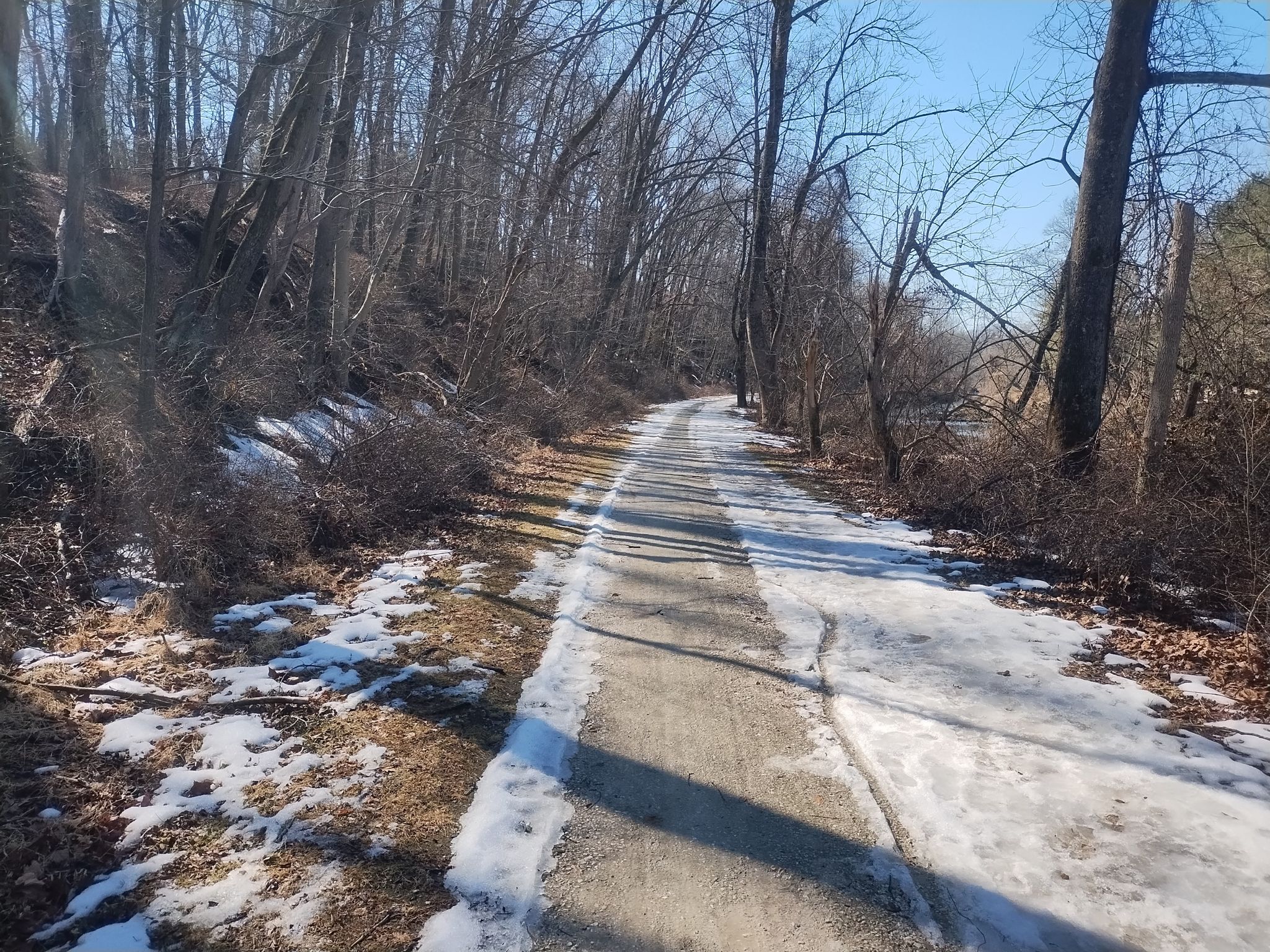 A paved path winds through a snowy forest with bare trees under bright sunlight. - Sparks Bank Nature Center – Torrey C. Brown Rail Trail loop from Glencoe