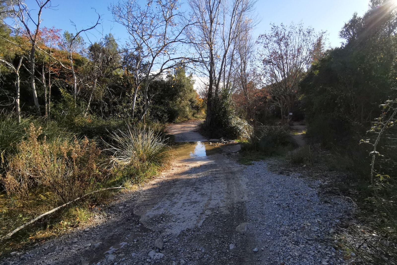 Près de la source du Rhôny