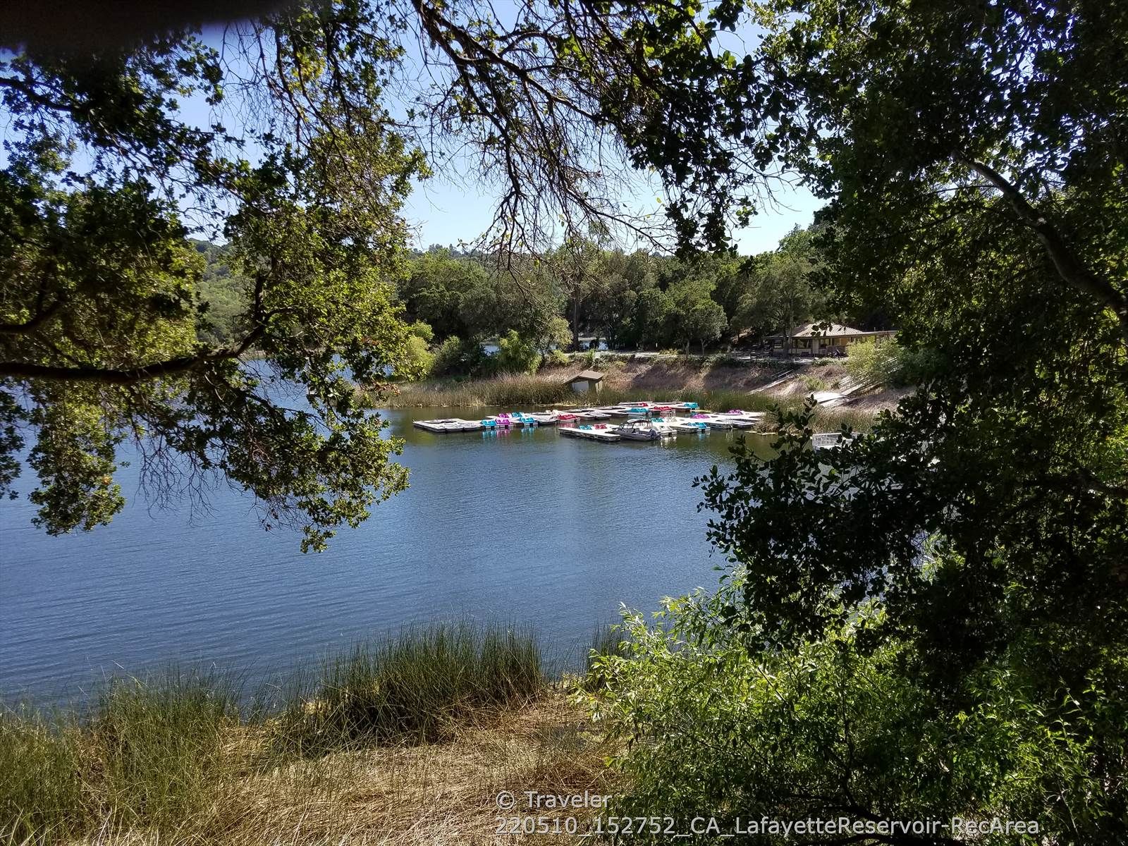 Sunny view of a lake with colorful paddle boats docked, framed by trees. - Lakeside Nature Trail