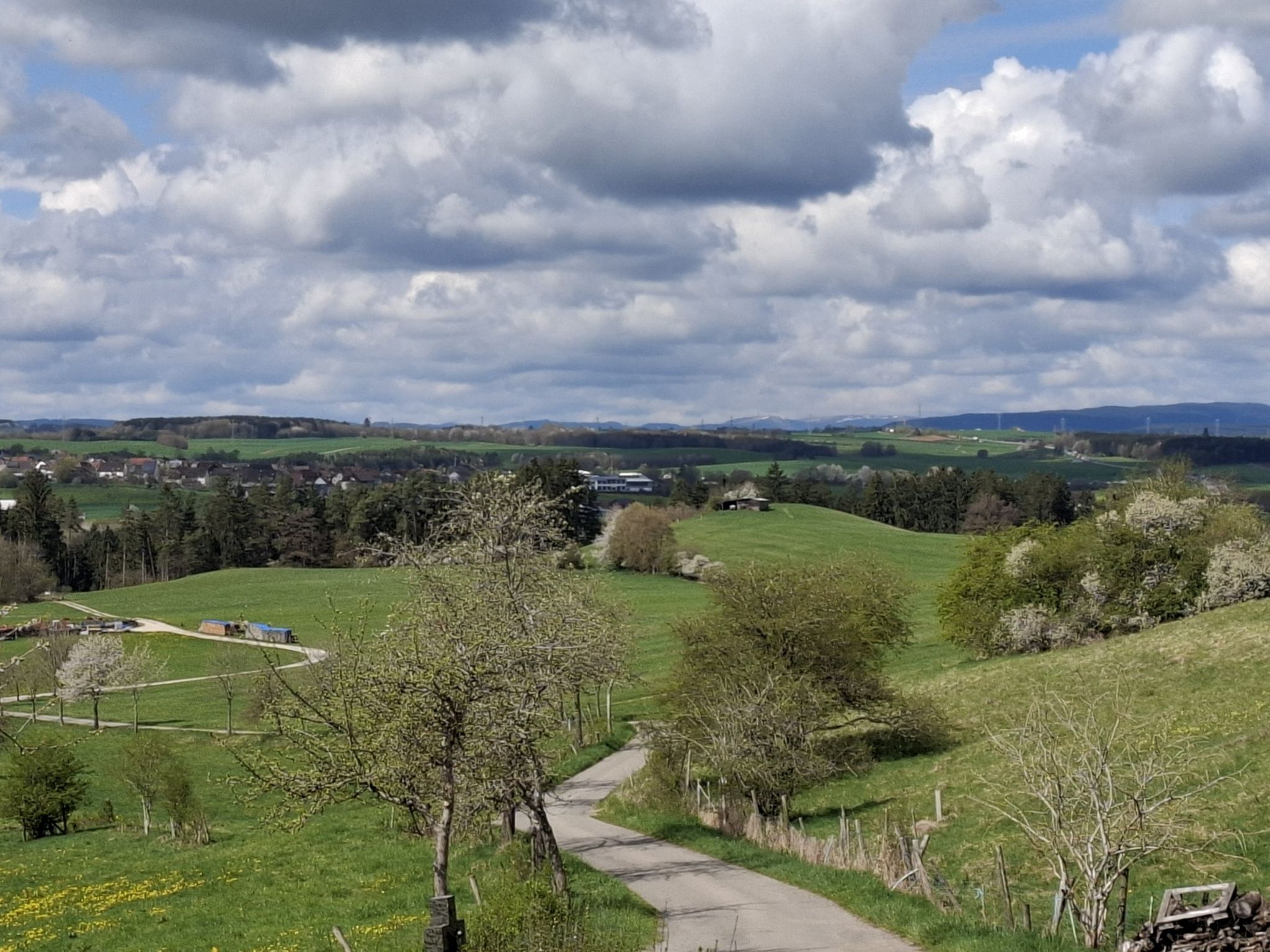 Schwarzwald mit Feldbergblick