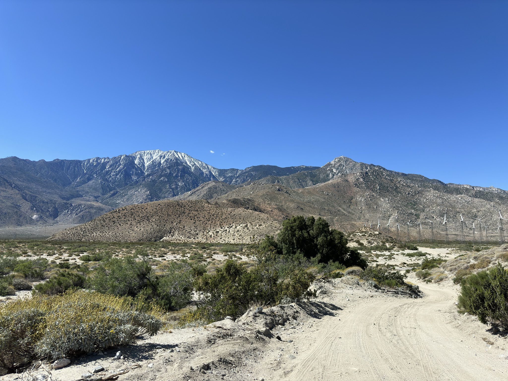 Dirt road through desert scrub, leading to snow-capped mountains under clear sky. - Pacific Crest Trail: Snow Creek to Interstate 10