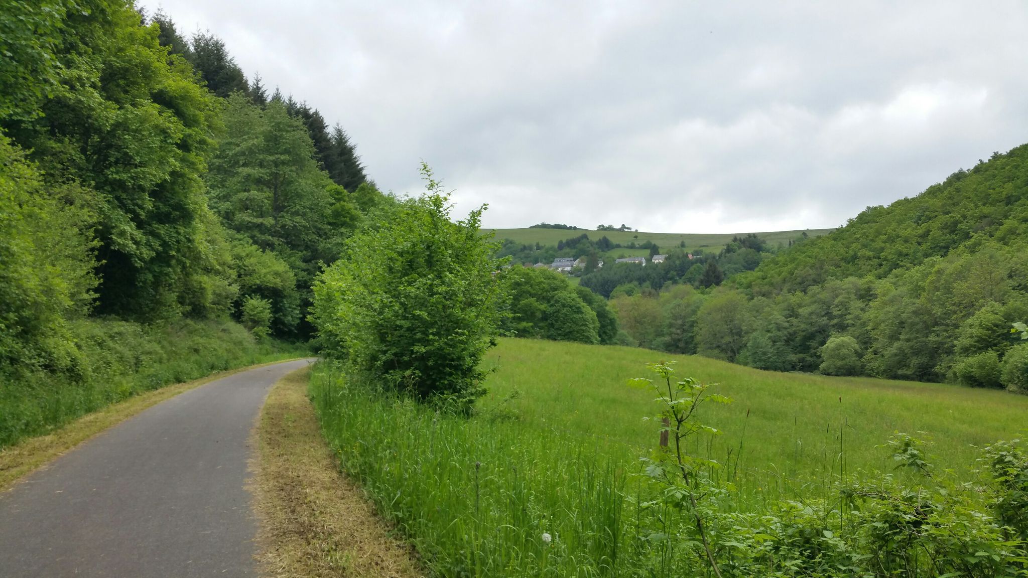 Blick zurück nach Pluwig Ort