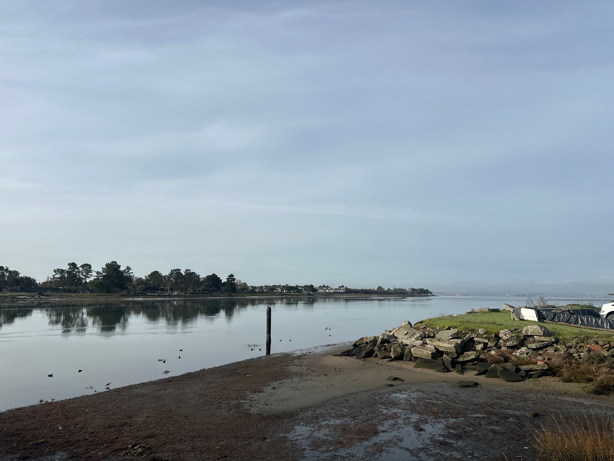 Calm water with distant trees and a rocky shore under a cloudy sky. - Bay Farm Island Trail – Bayfarm Island Ferry terminal loop from Alameda
