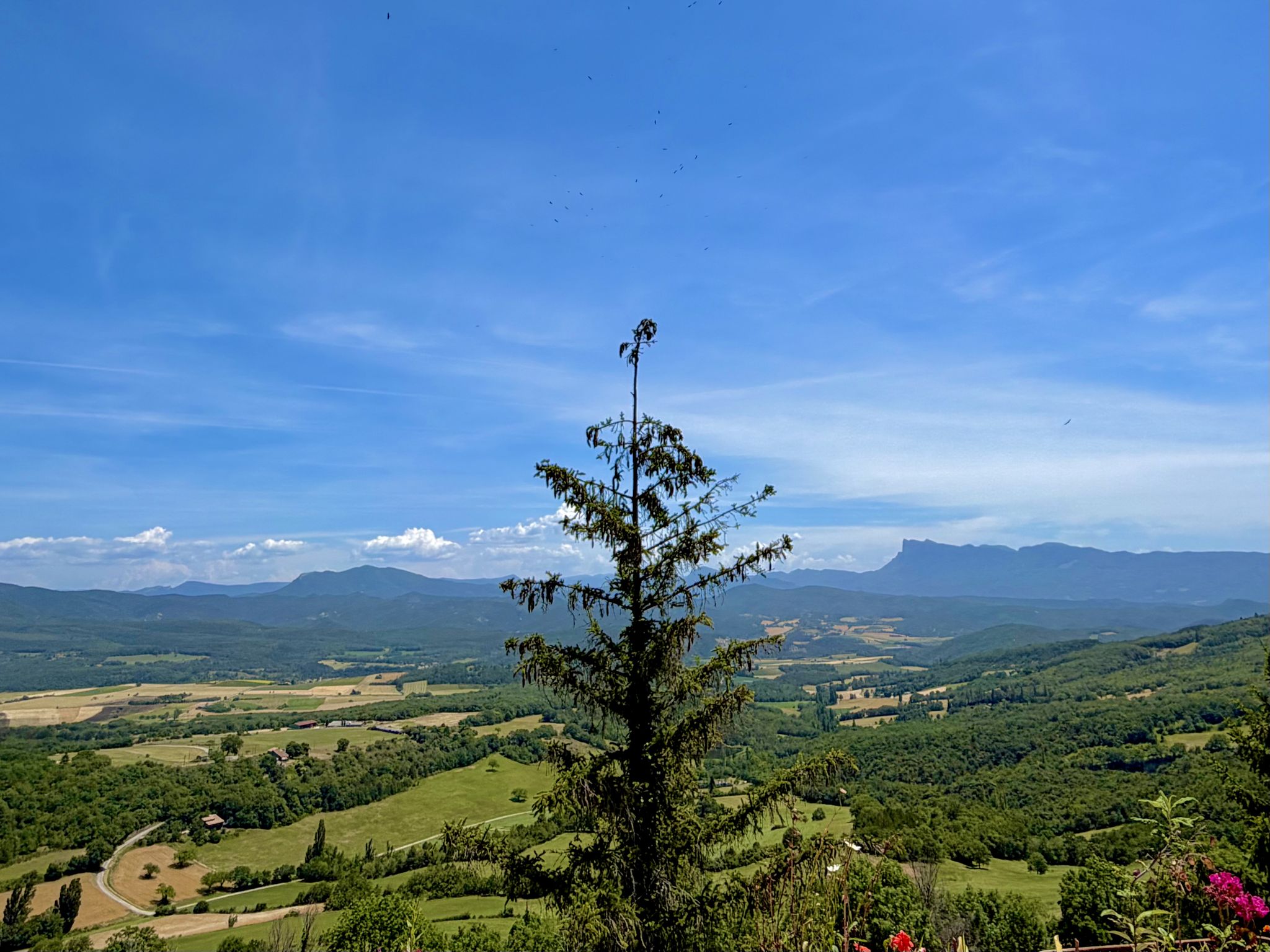 Blick von unserer Terrasse über das Drome Tal auf Les Trois Becs. Könnt ihr die zahlreichen Geier am Himmel erkennen.
