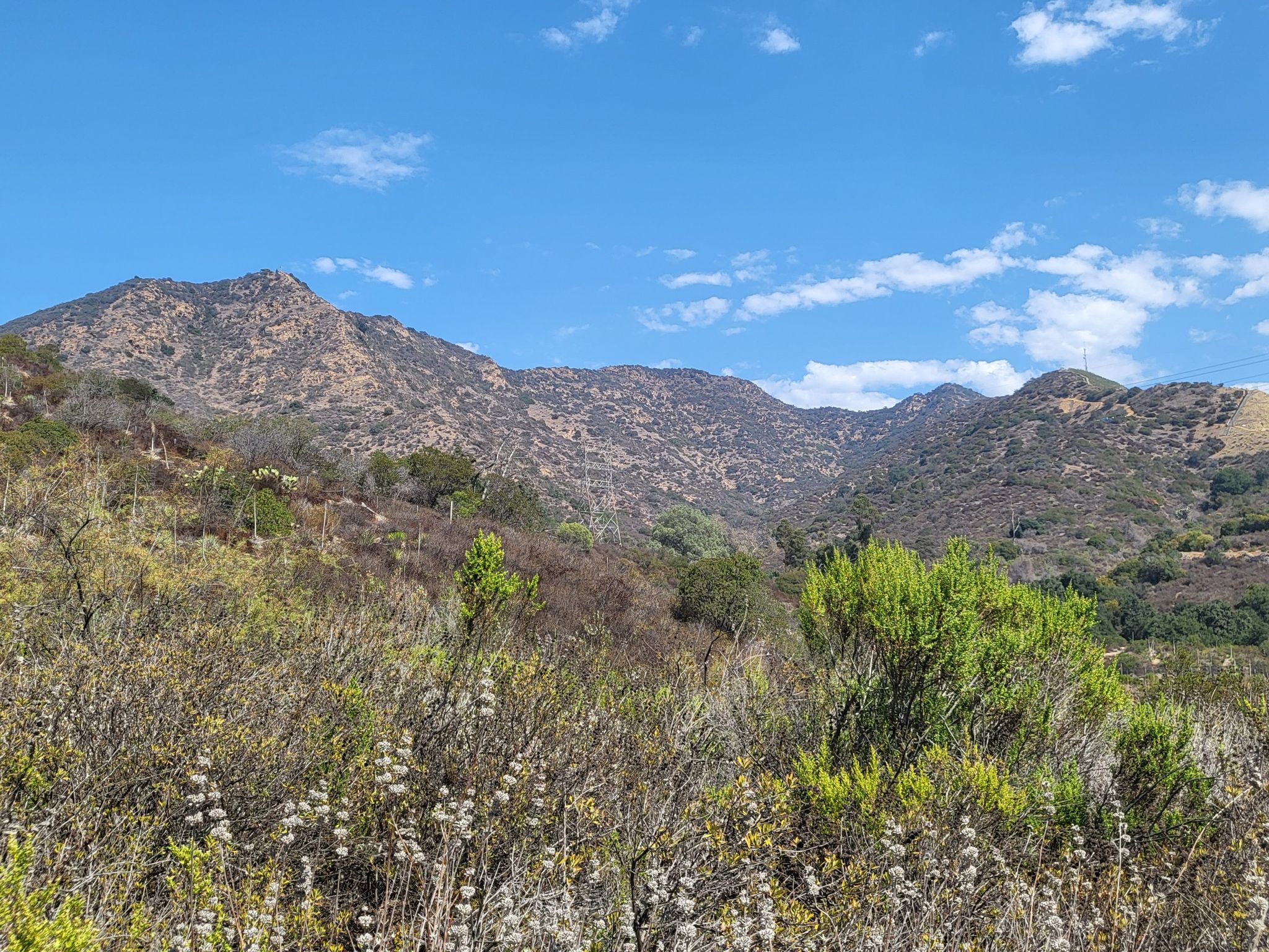 Rugged, brush-covered mountains under a bright blue sky with white clouds. - Baum Bicycle Bridge – Muholland Drive loop from Little Tokyo/Arts District